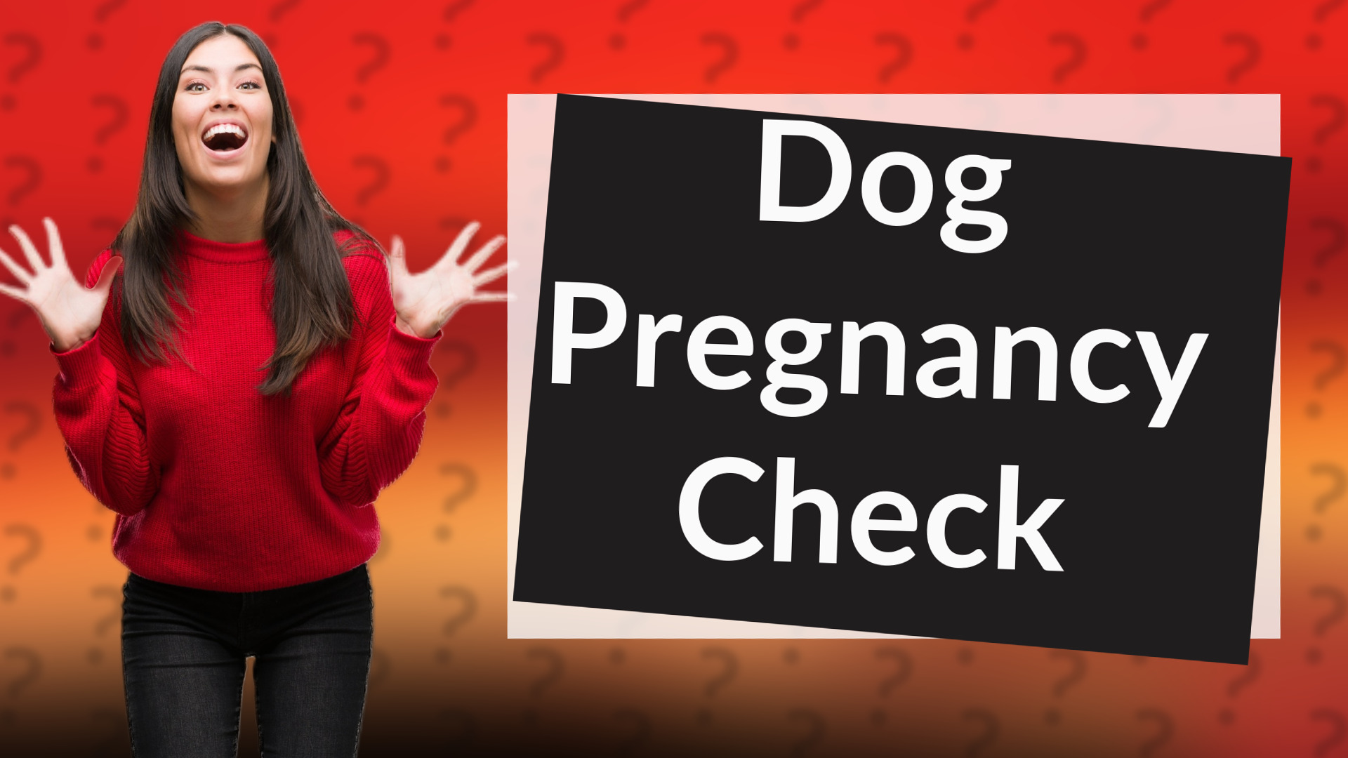 Dog Pregnancy Check
