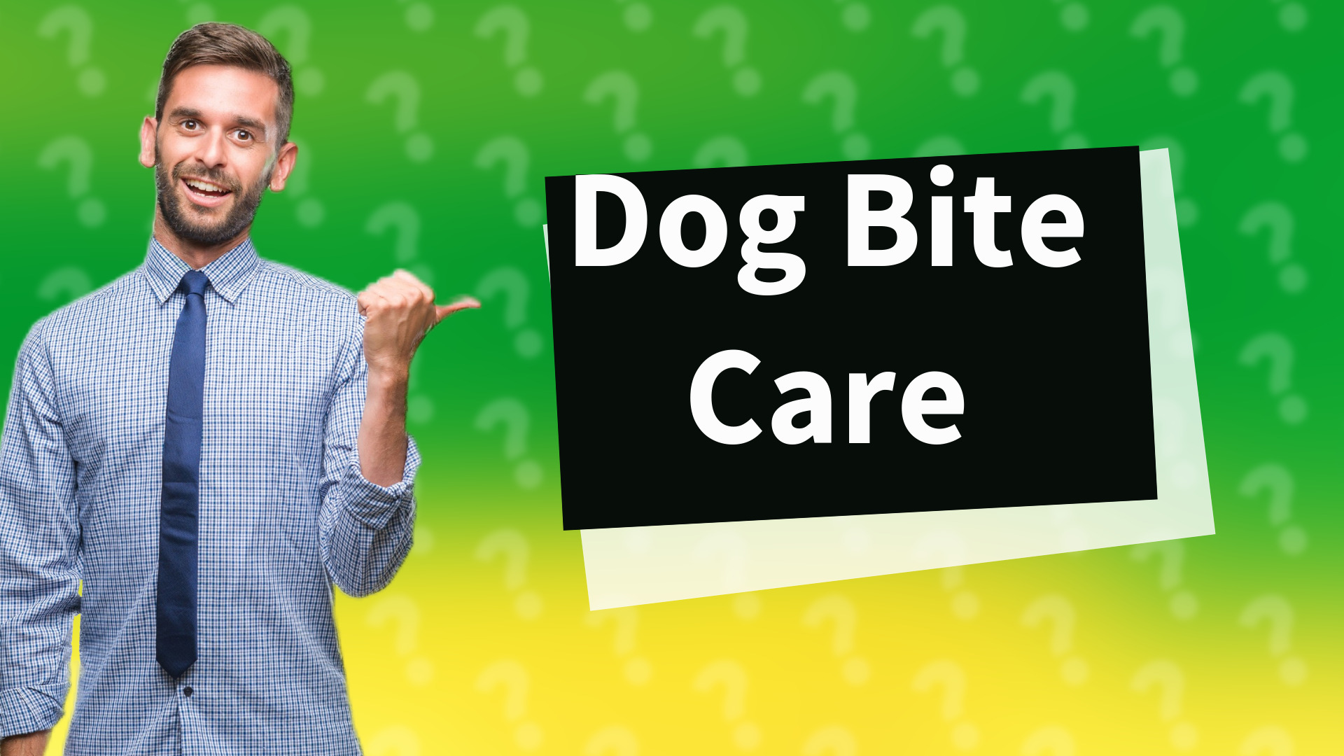 Dog Bite Care