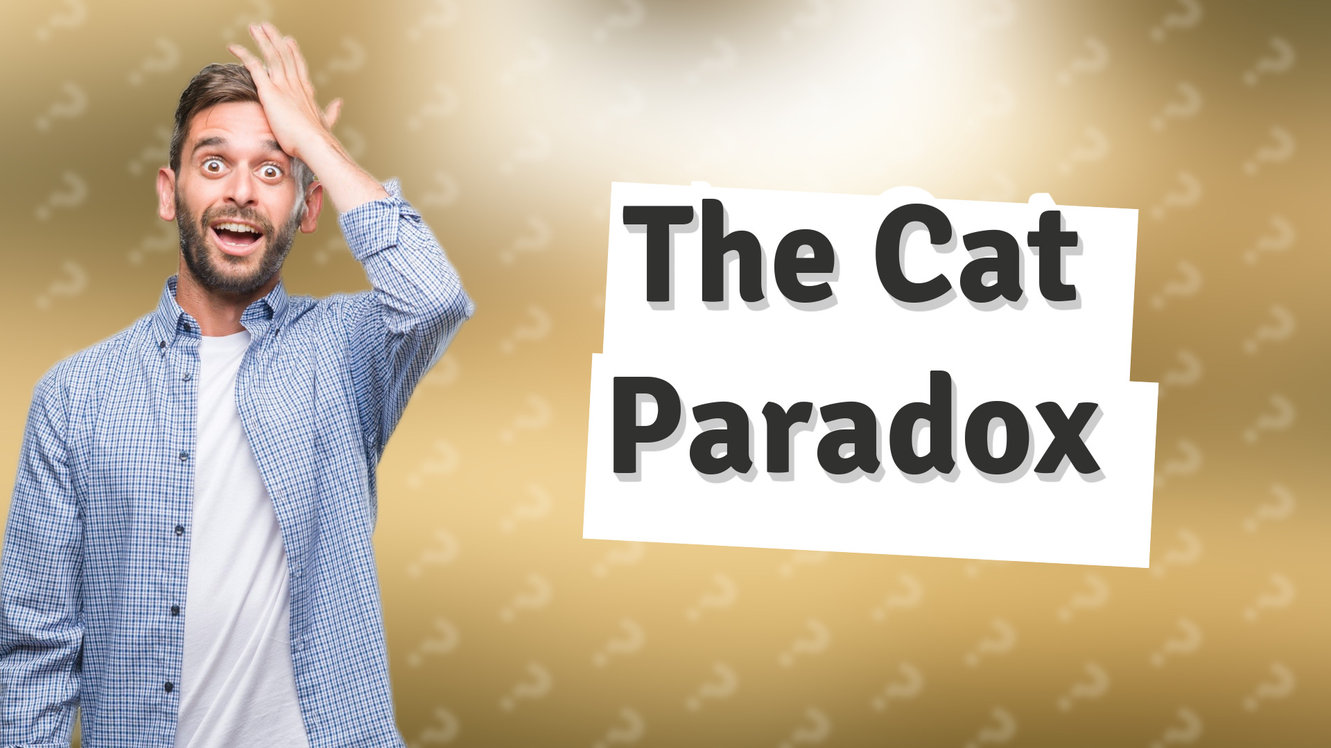 The Cat Paradox