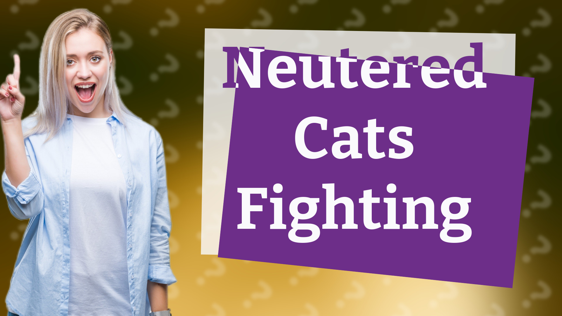 Neutered Cats Fighting