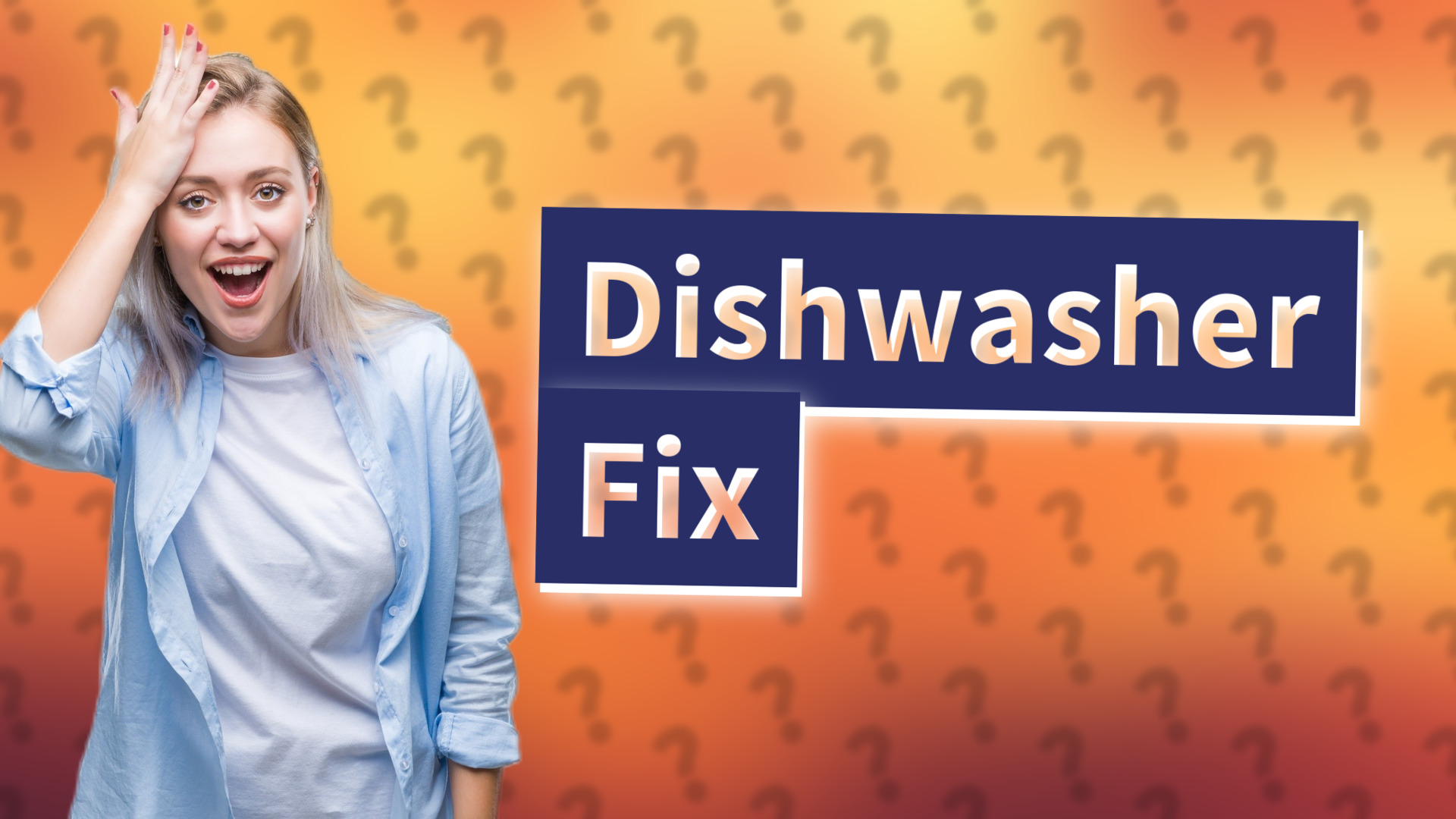 Dishwasher Fix
