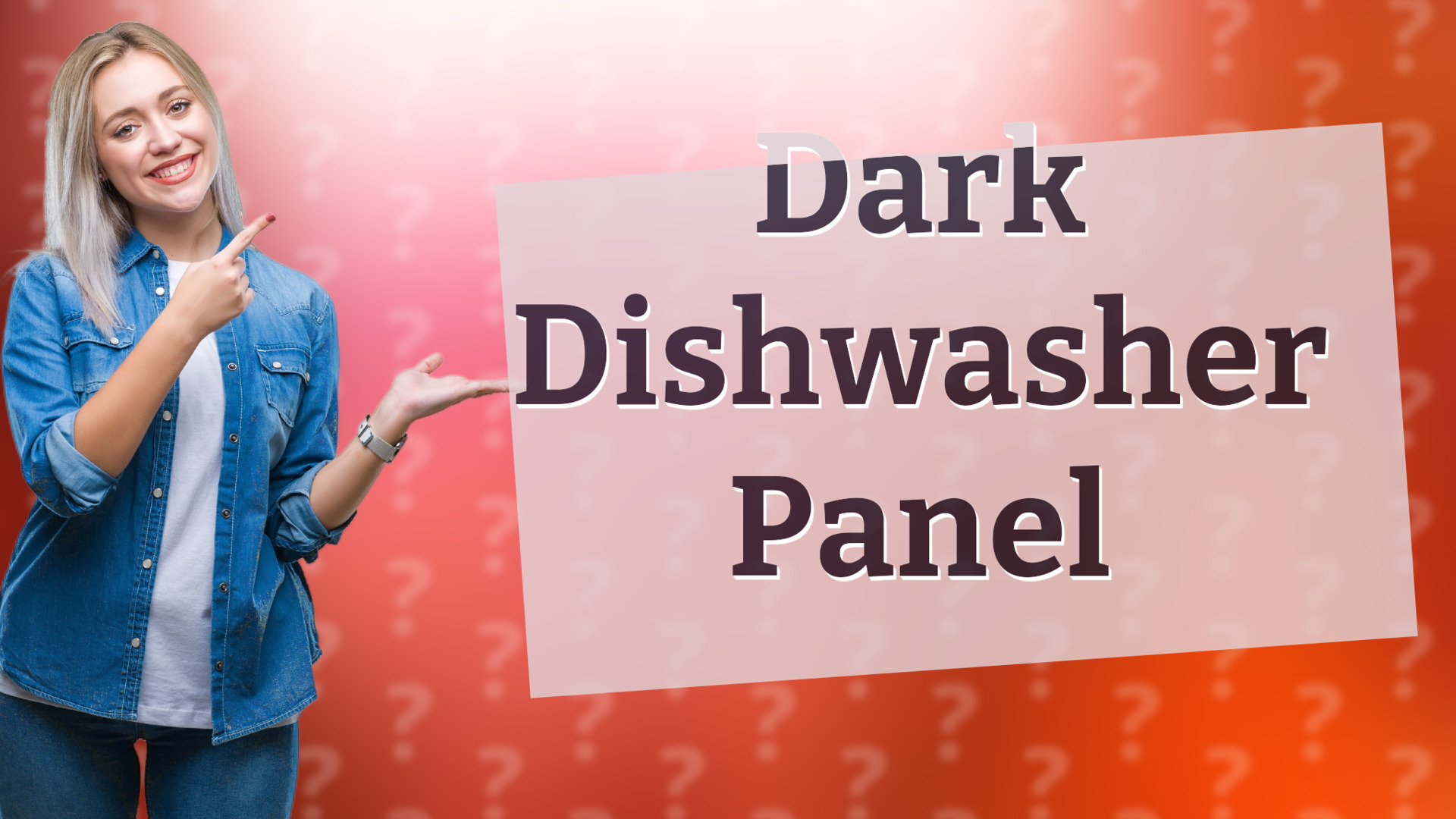 Dark Dishwasher Panel