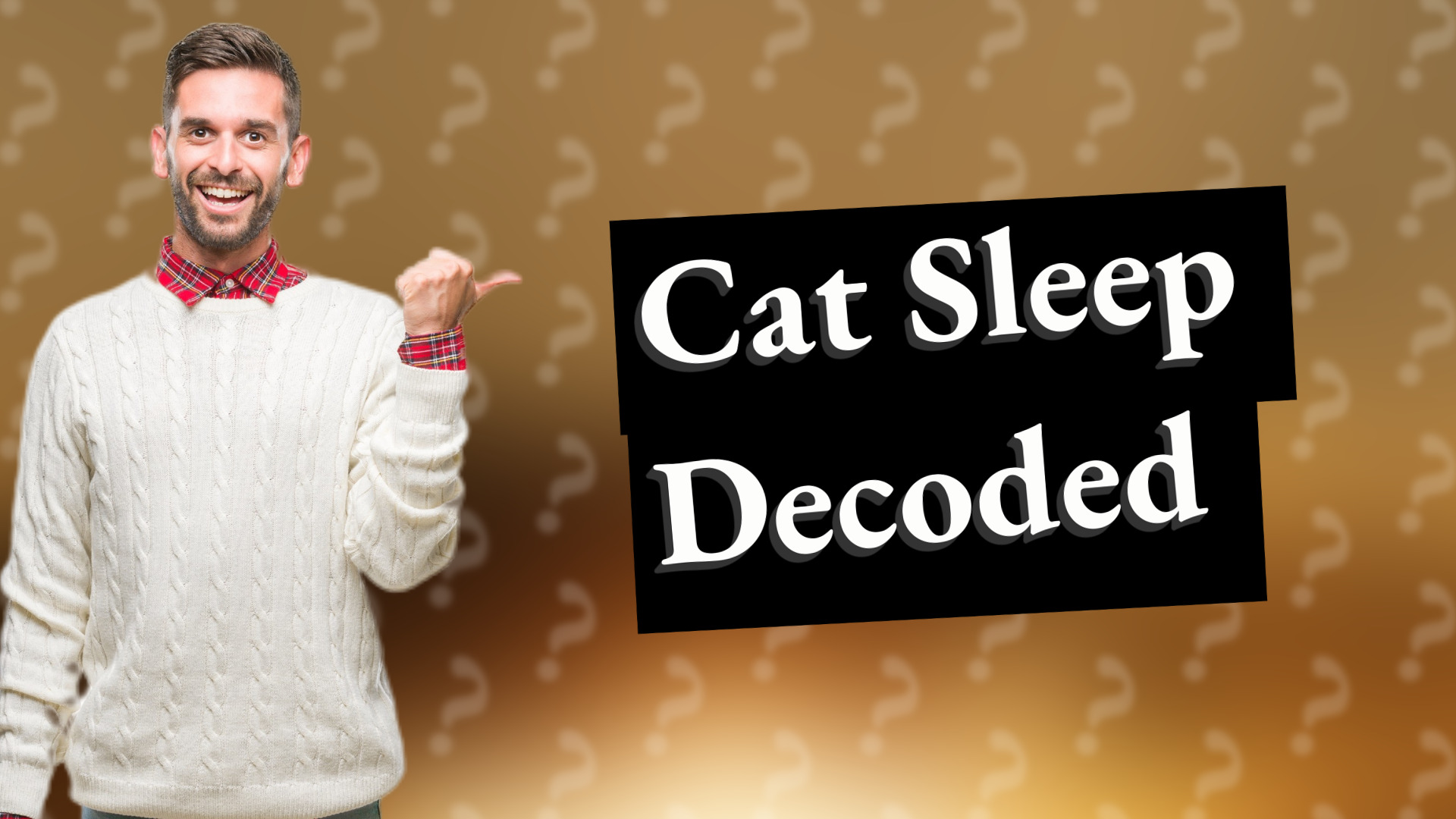 Cat Sleep Decoded