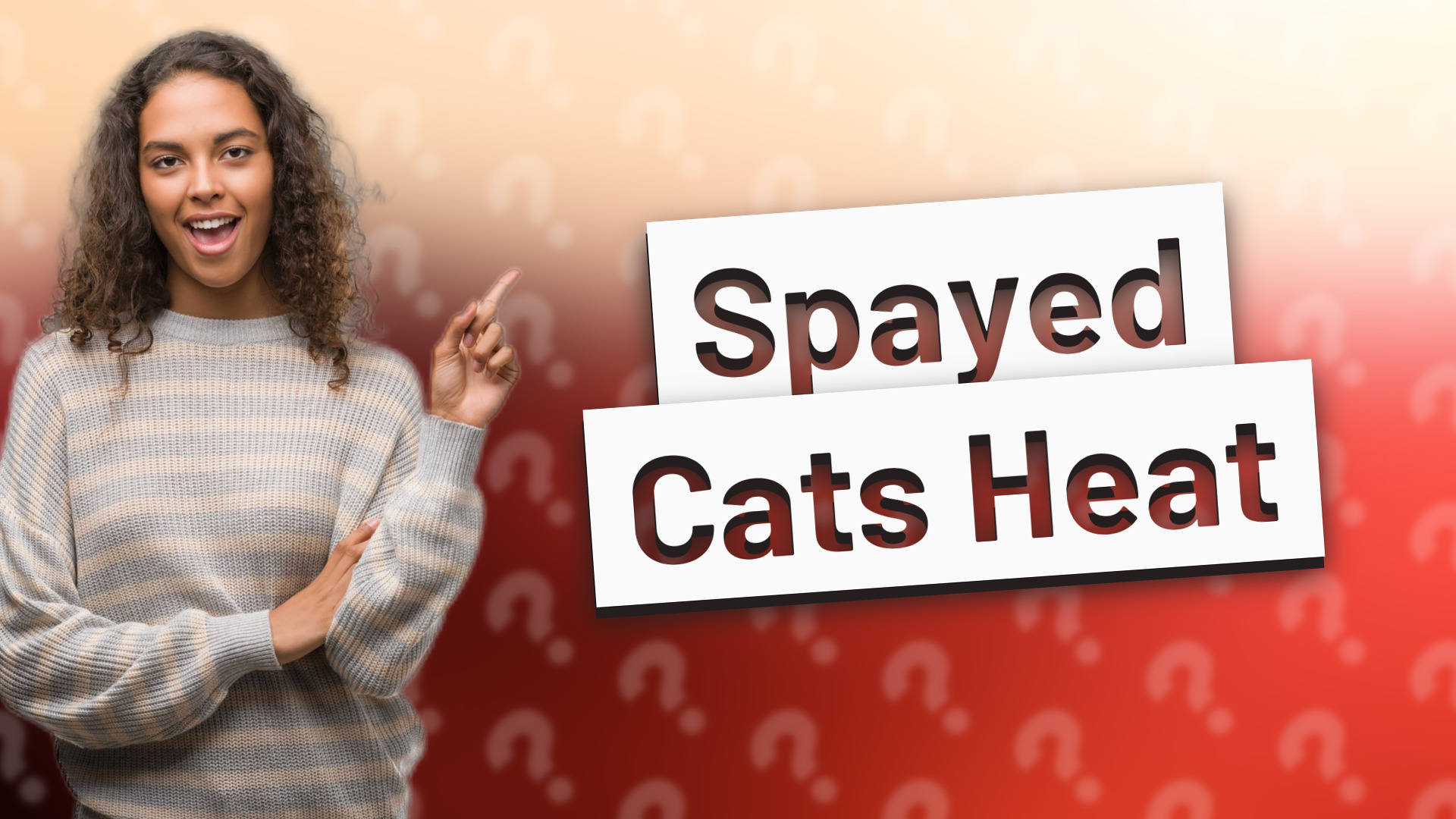 Spayed Cats Heat