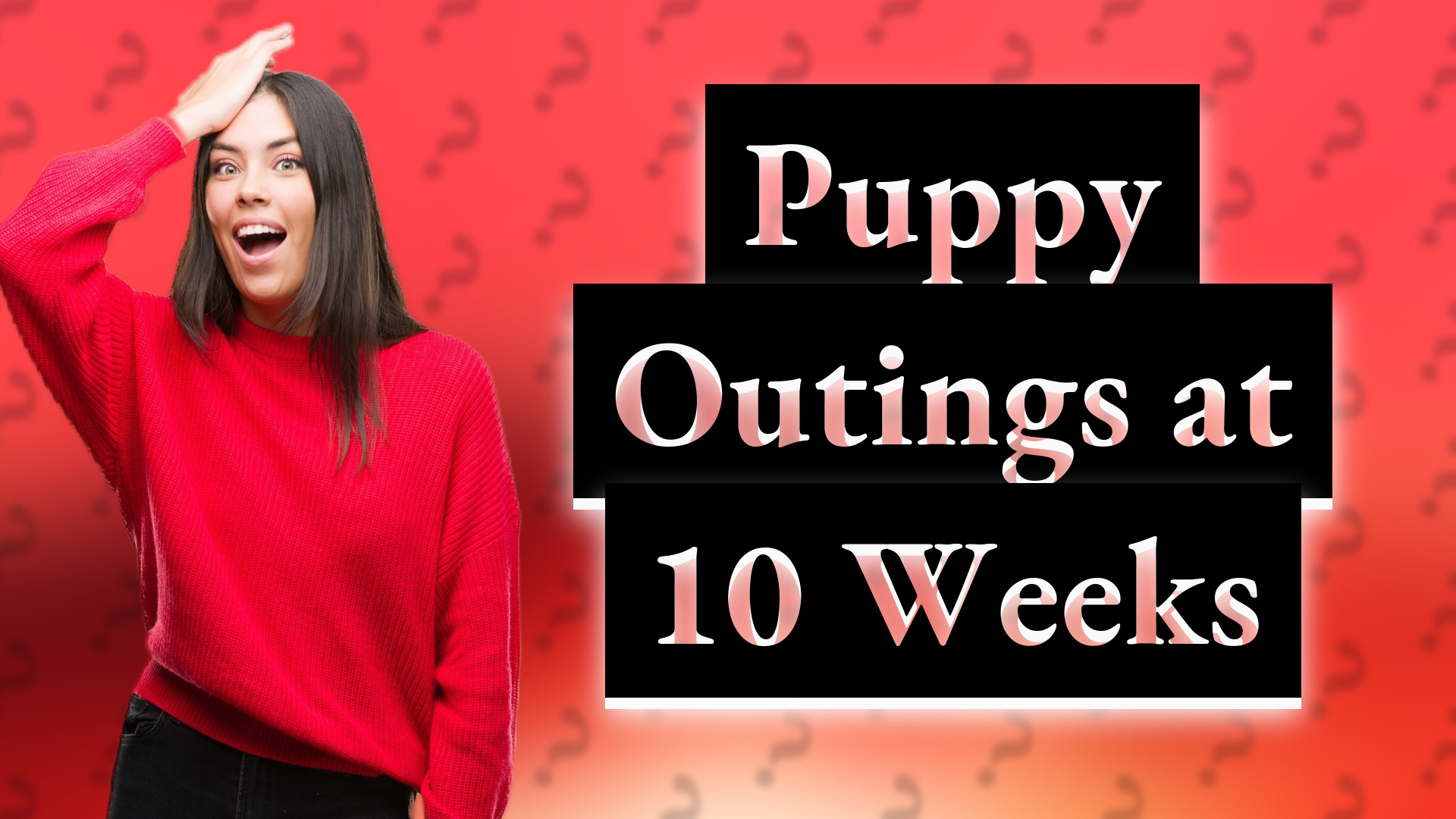 Puppy Outings at 10 Weeks