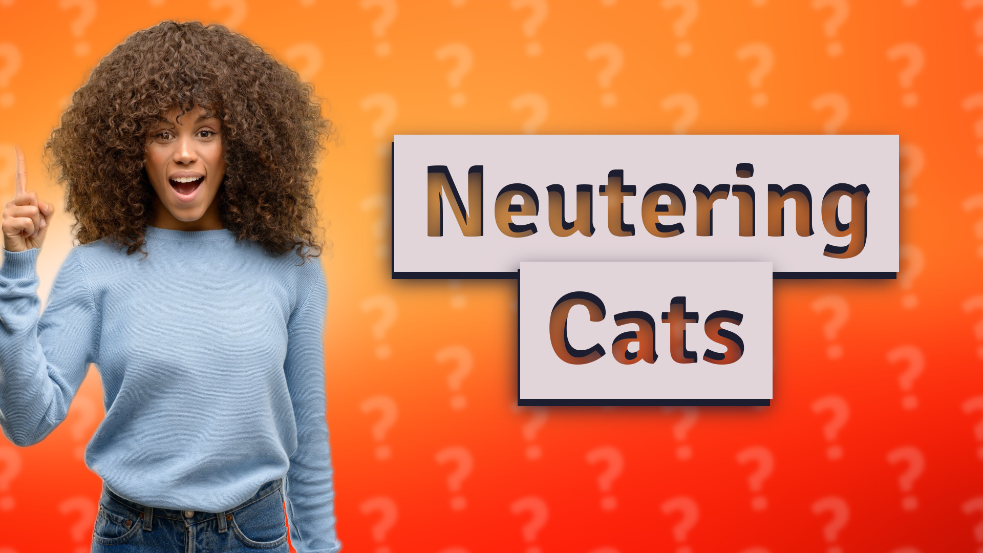 Neutering Cats