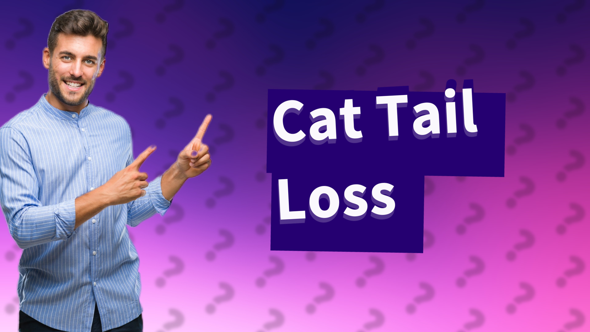 Cat Tail Loss