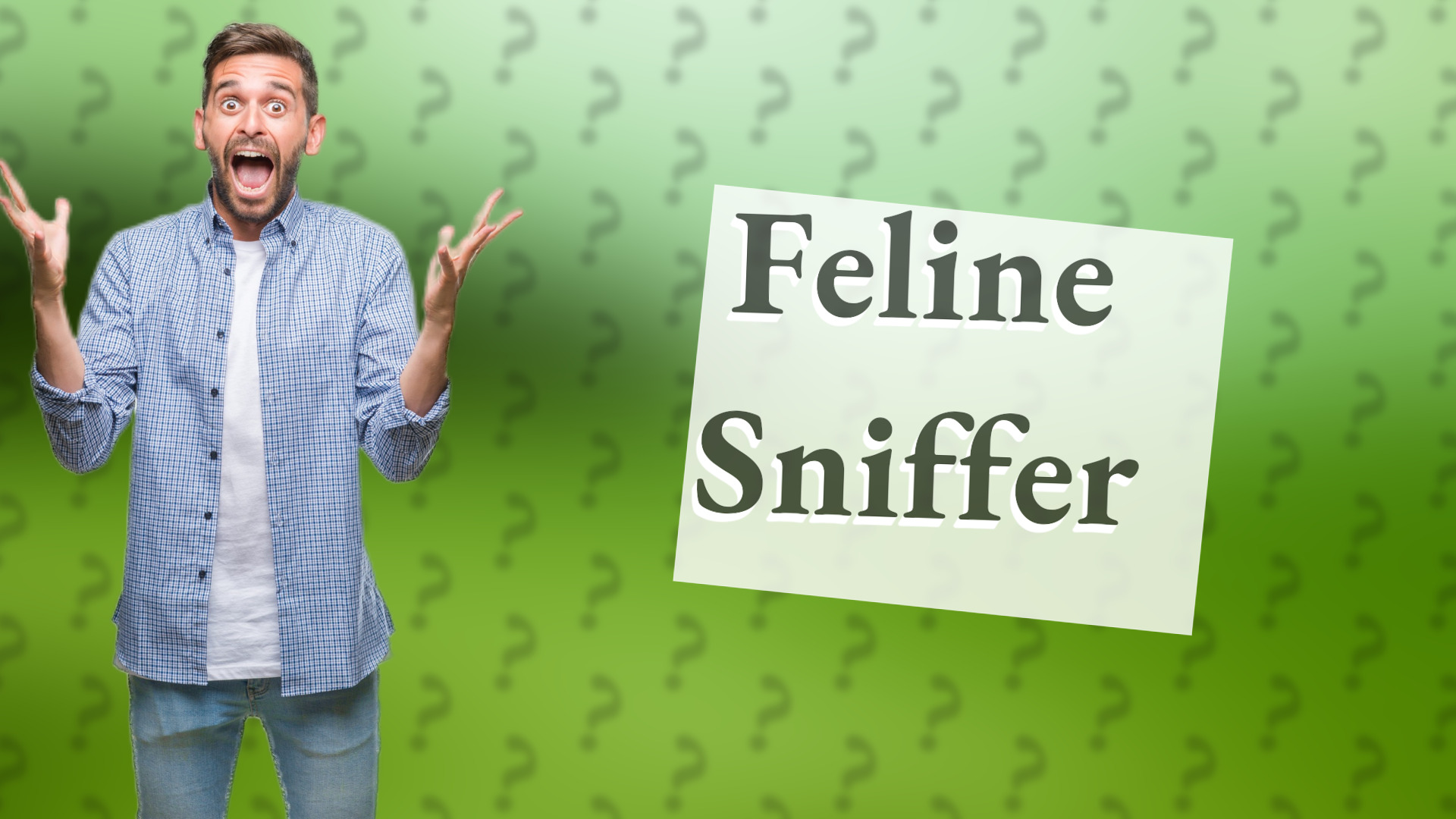 Feline Sniffer
