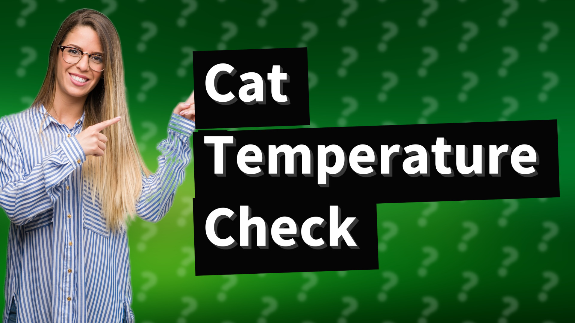 Cat Temperature Check