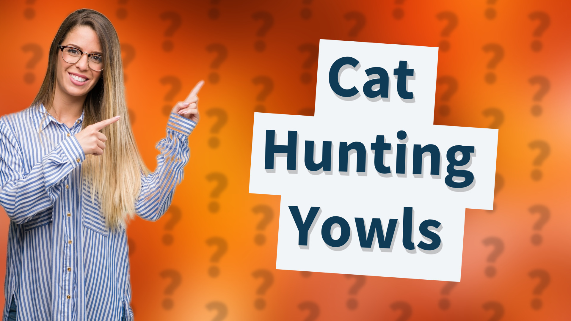 Cat Hunting Yowls