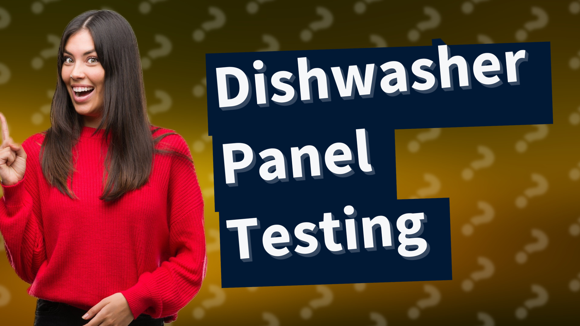 Dishwasher Panel Testing