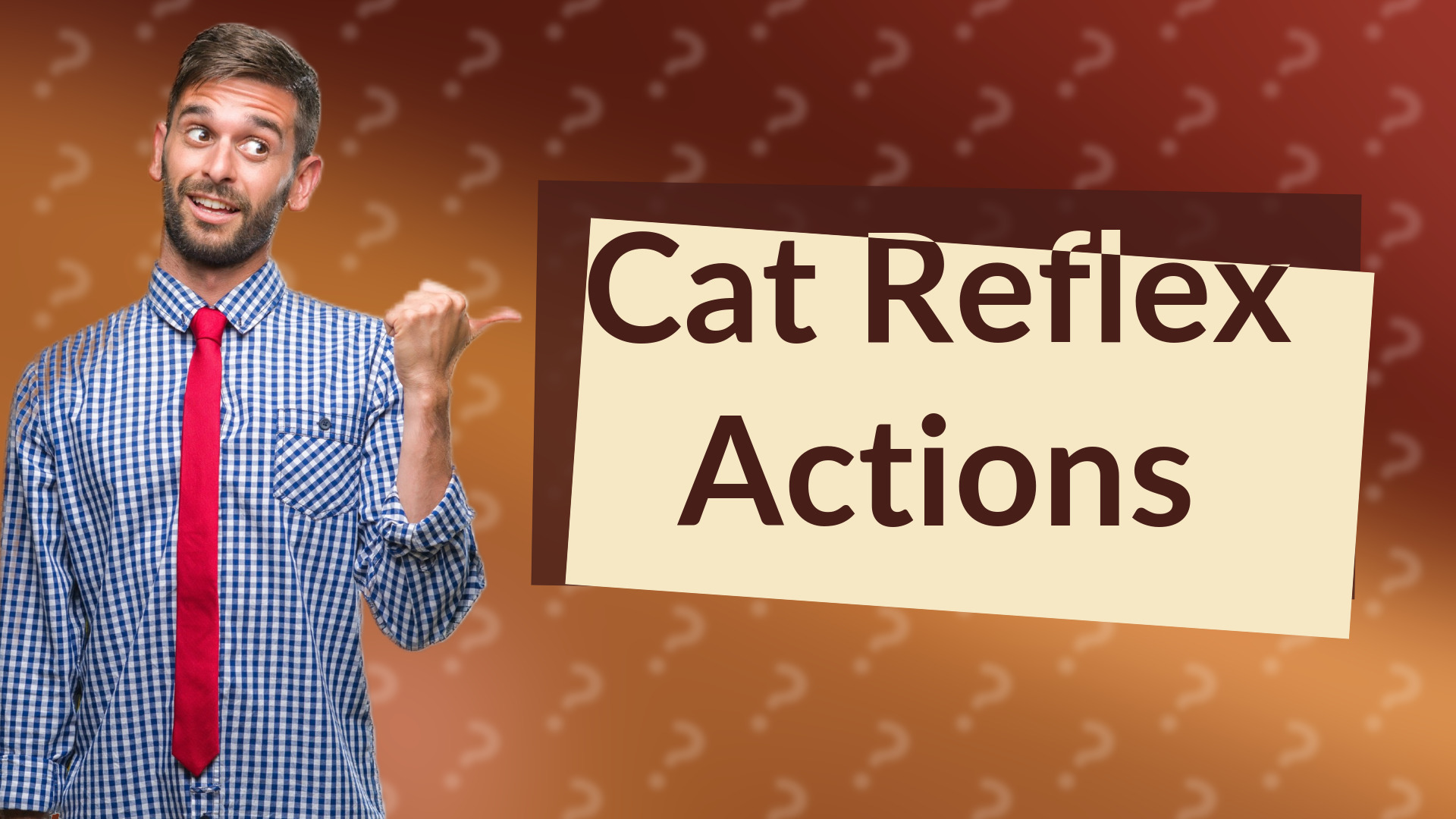 Cat Reflex Actions