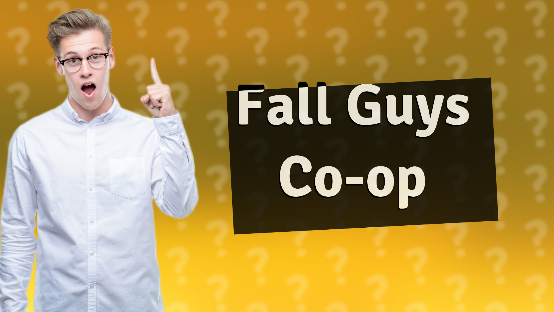 Fall Guys Co-op