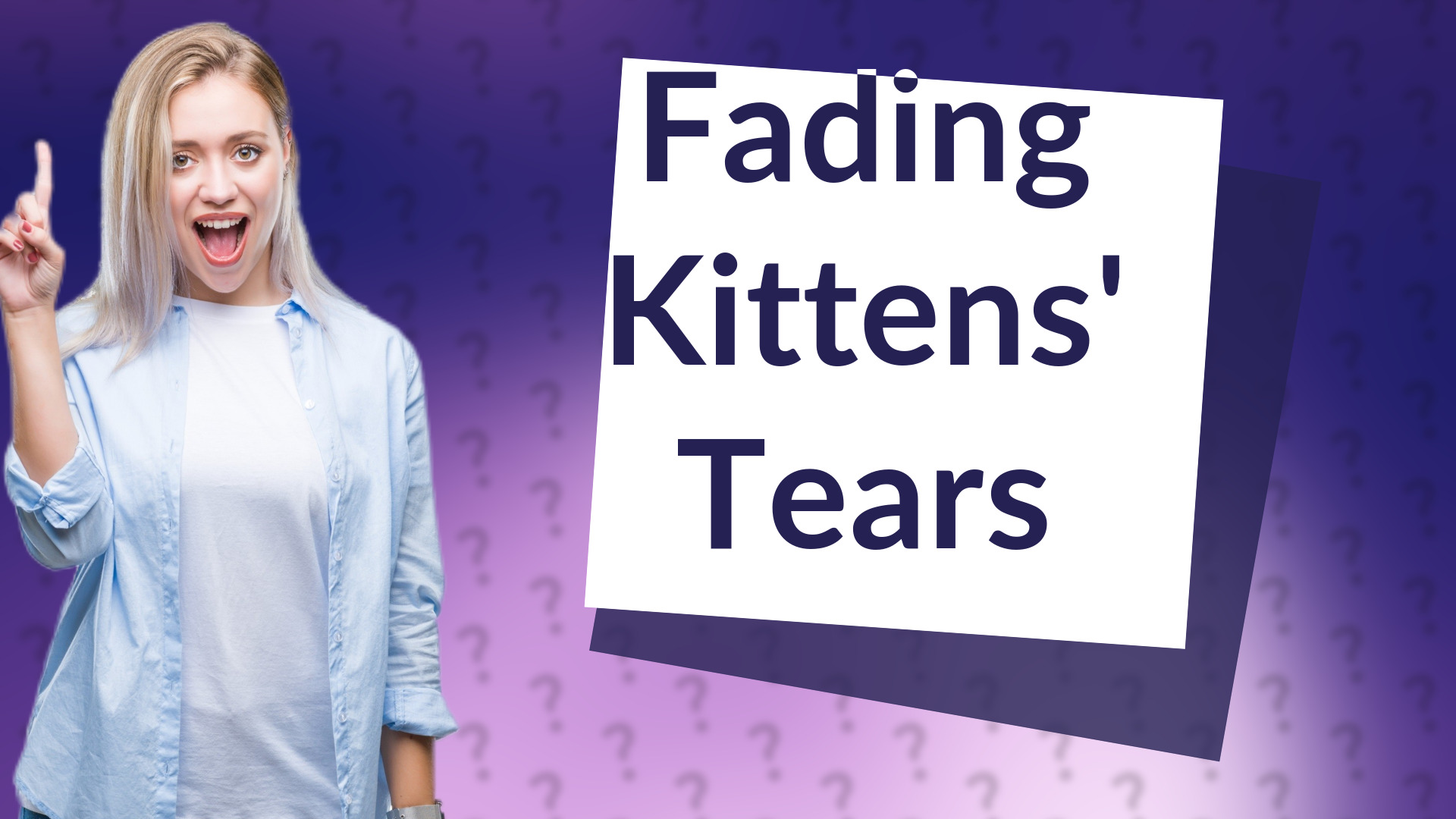 Fading Kittens' Tears