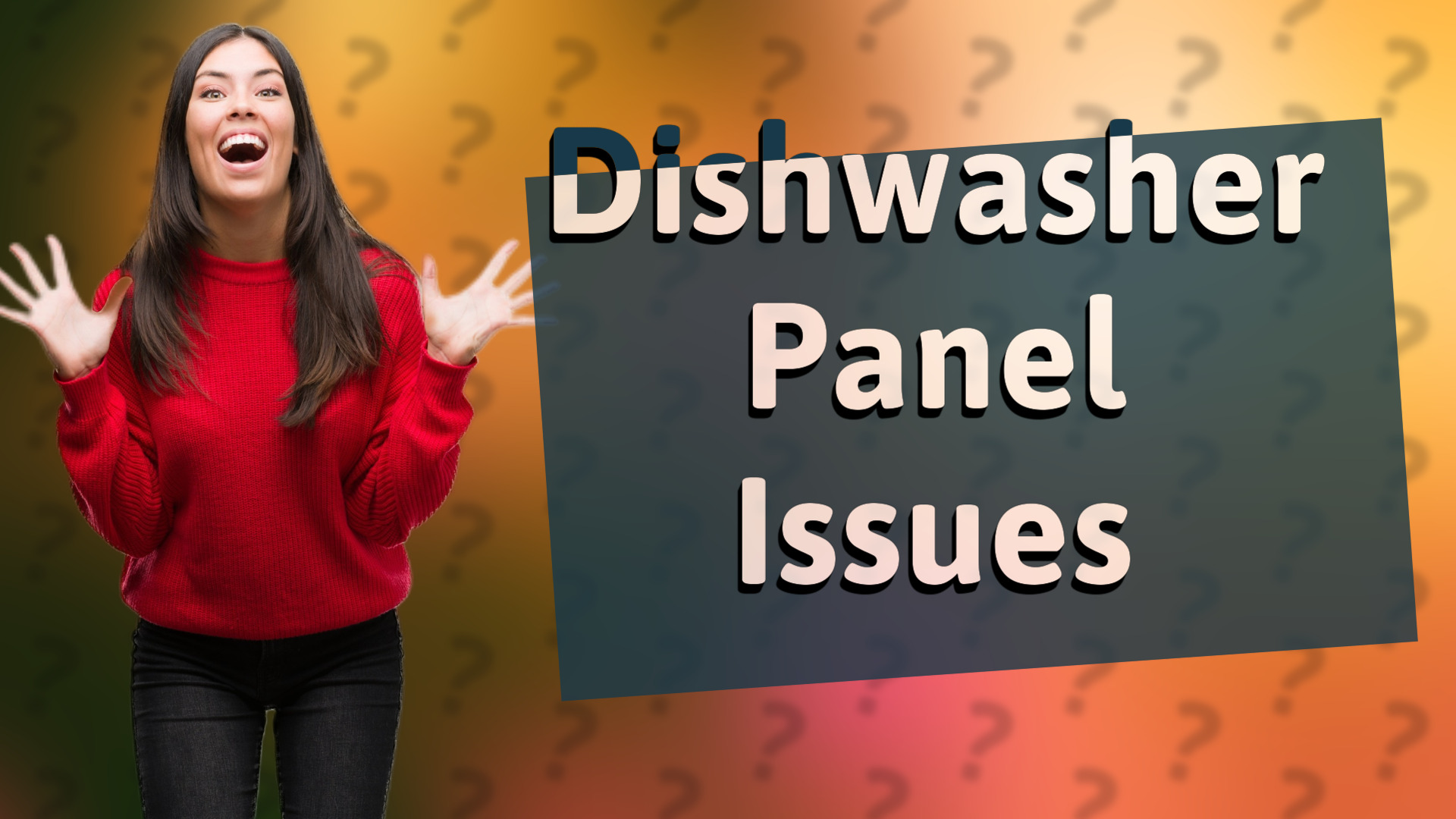 Dishwasher Panel Issues