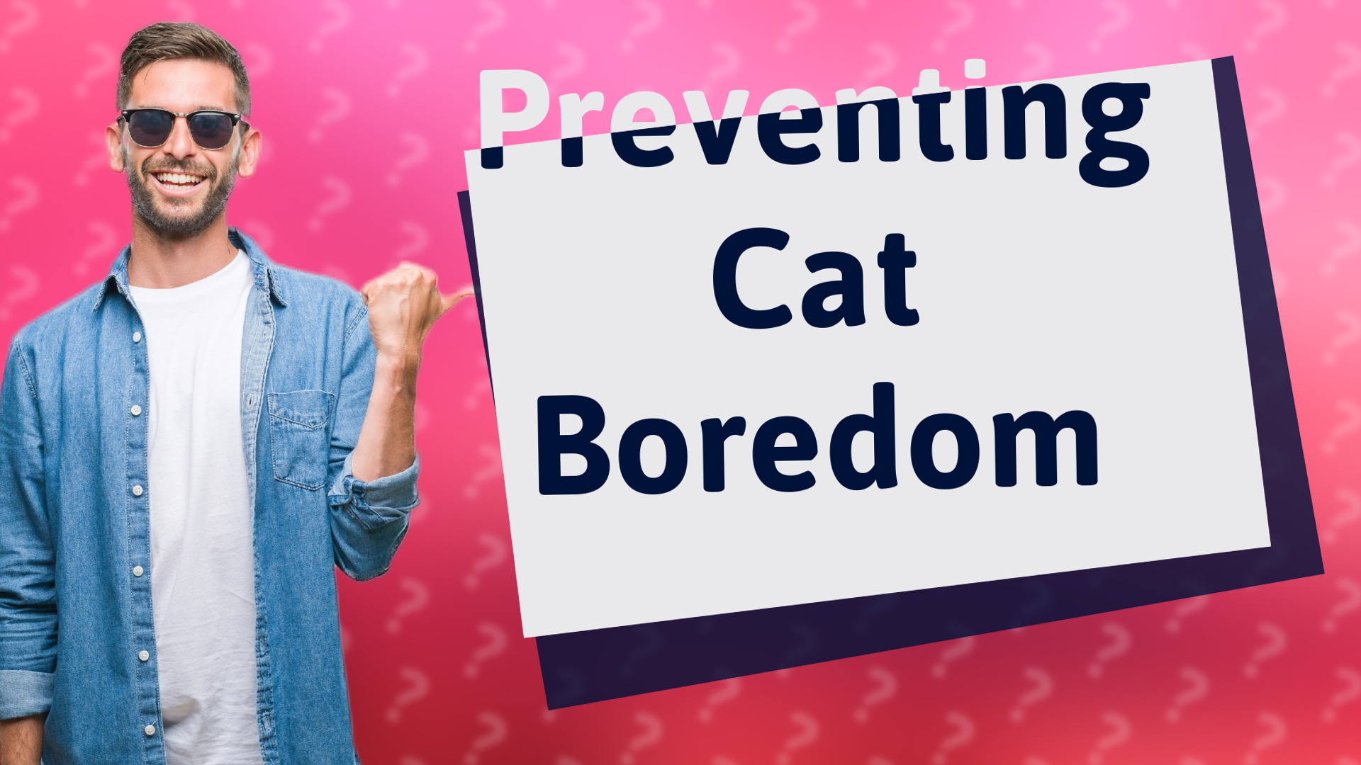 Preventing Cat Boredom