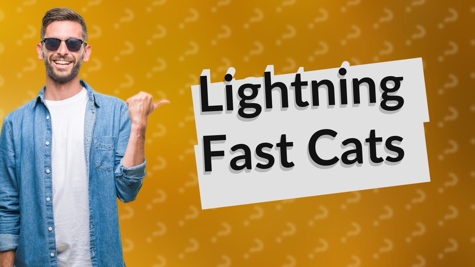 Lightning Fast Cats