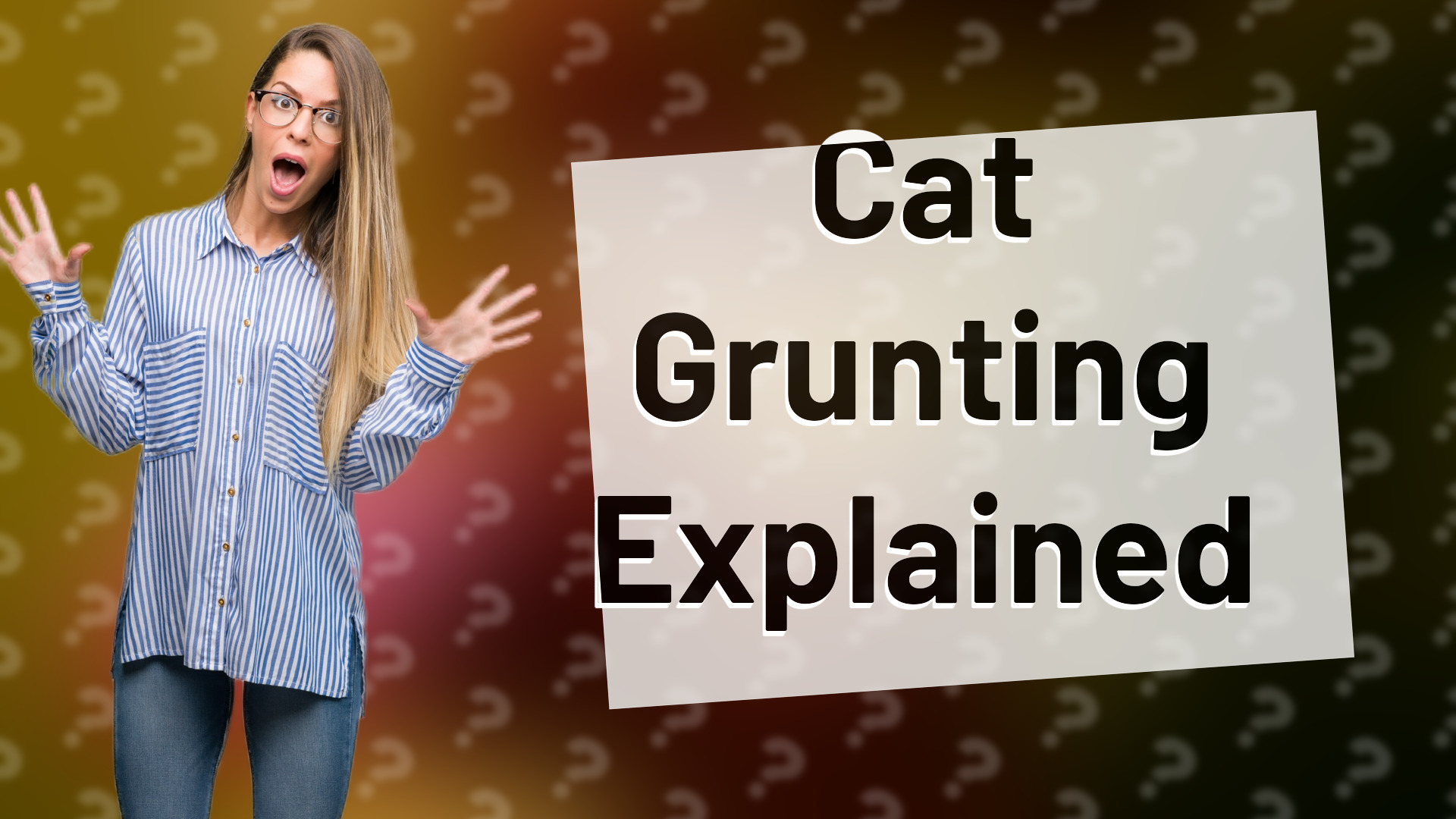 Cat Grunting Explained