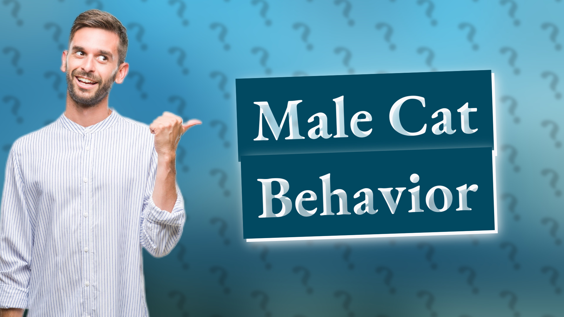 Male Cat Behavior