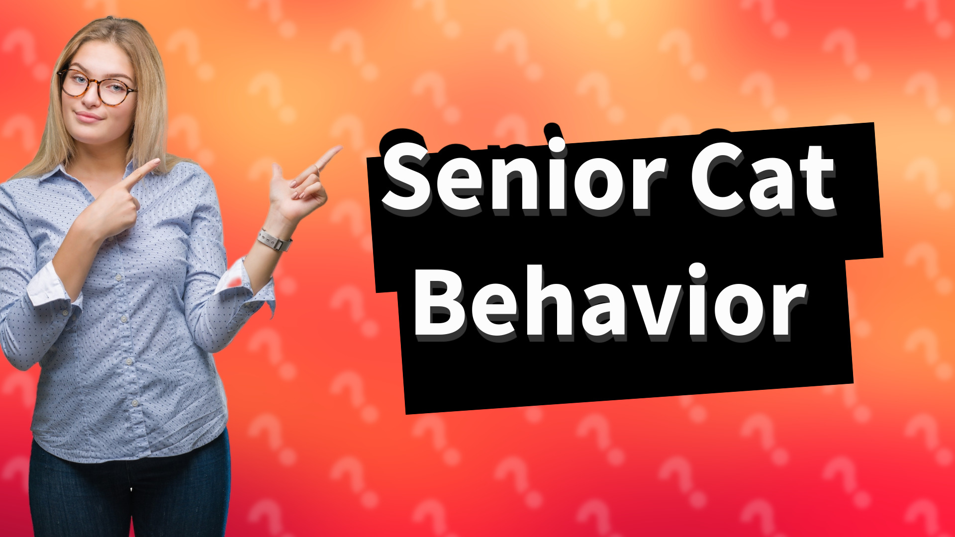 Senior Cat Behavior