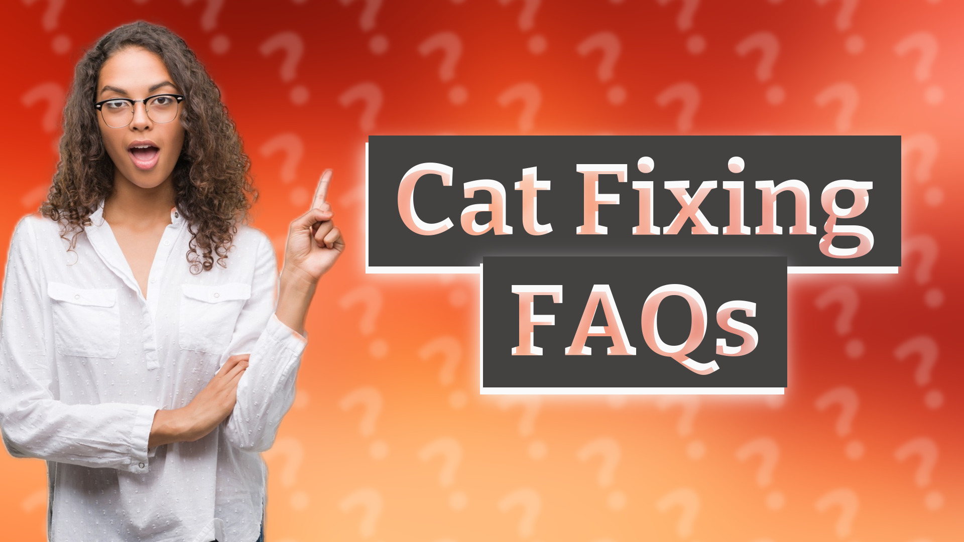 Cat Fixing FAQs
