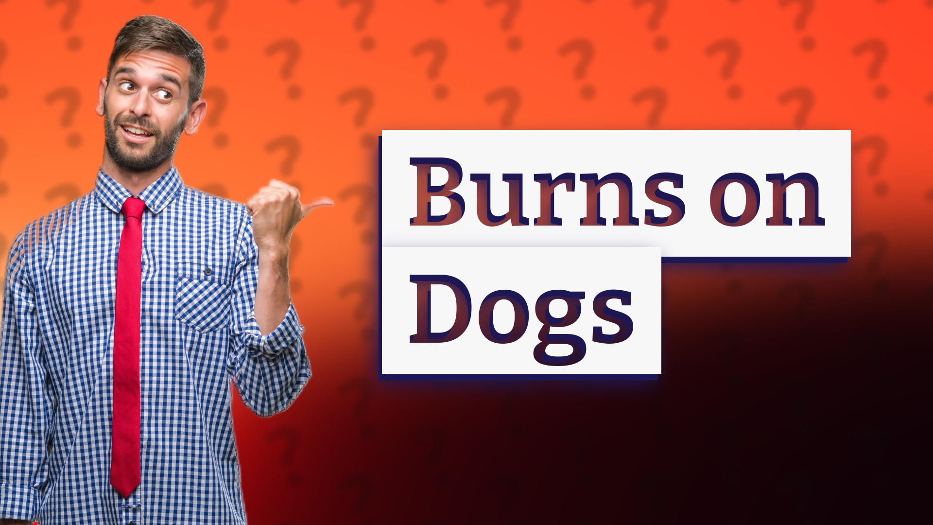 Burns on Dogs