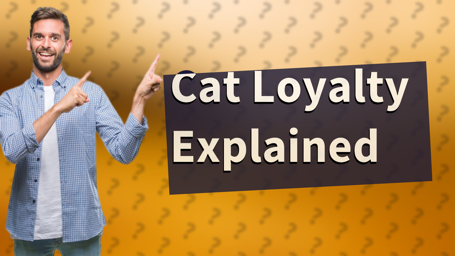 Cat Loyalty Explained