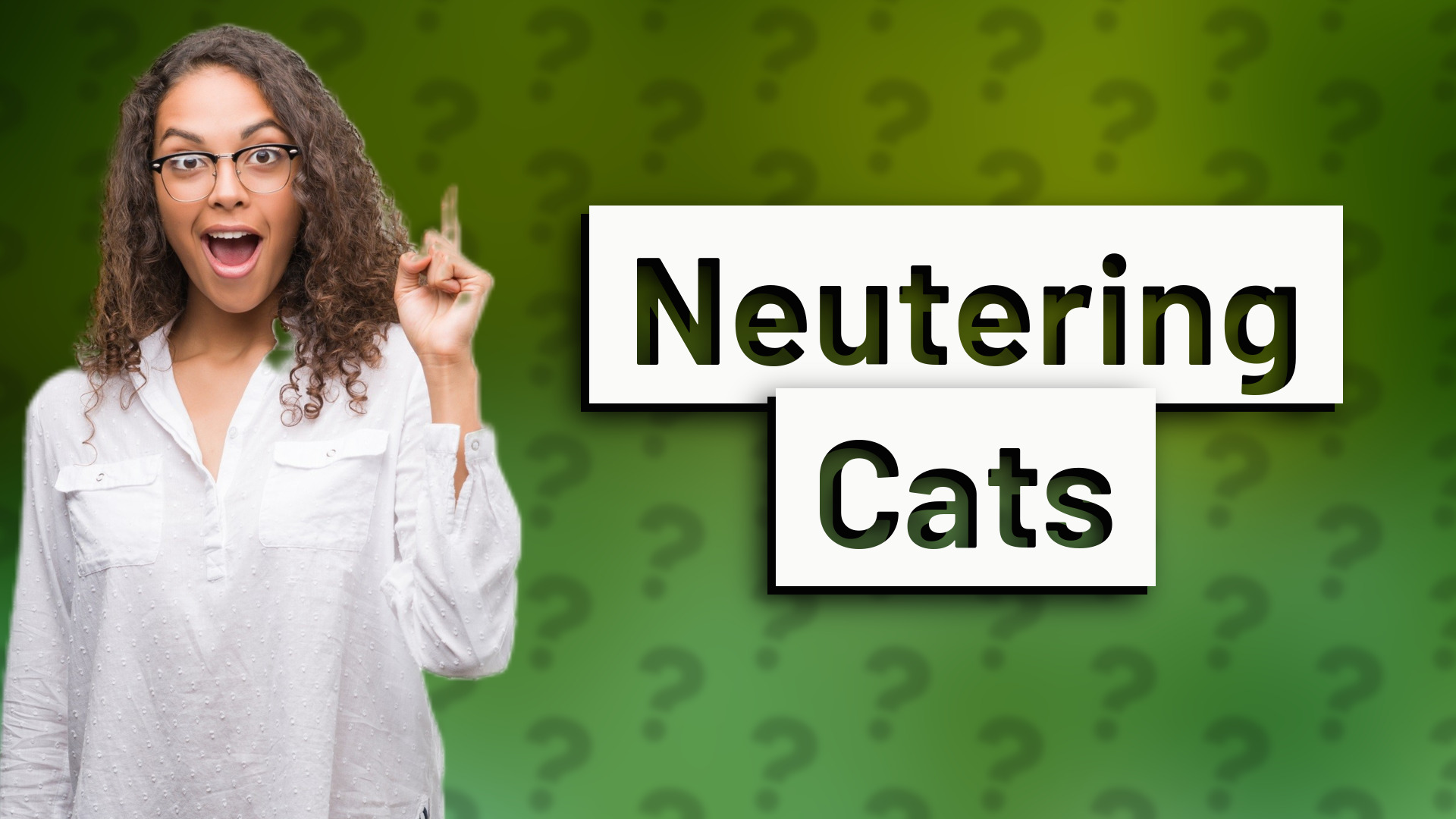 Neutering Cats