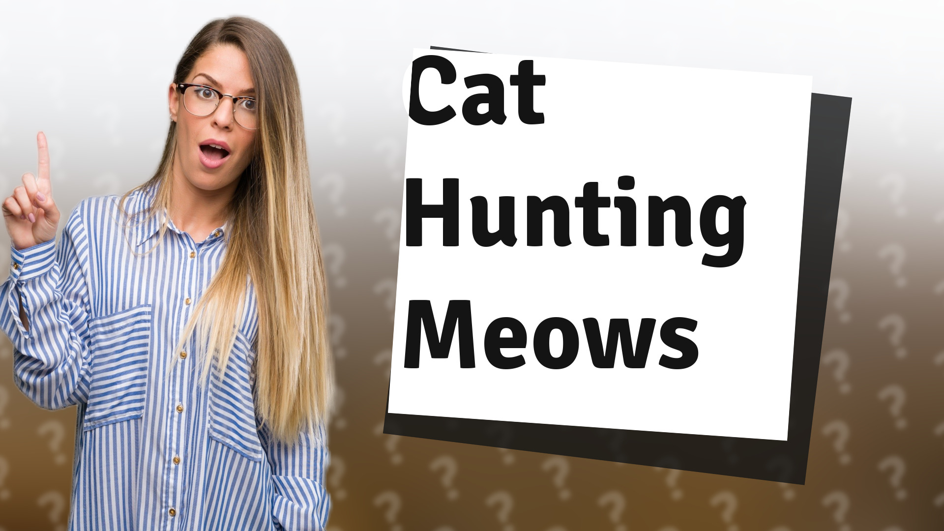 Cat Hunting Meows