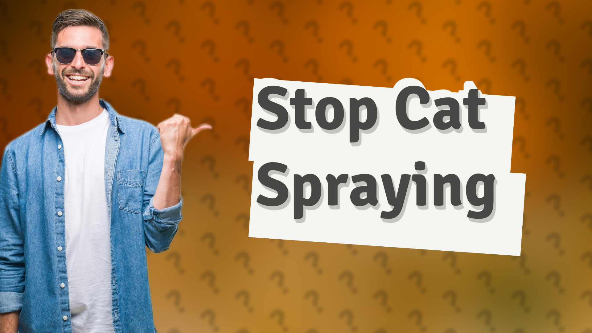 Stop Cat Spraying