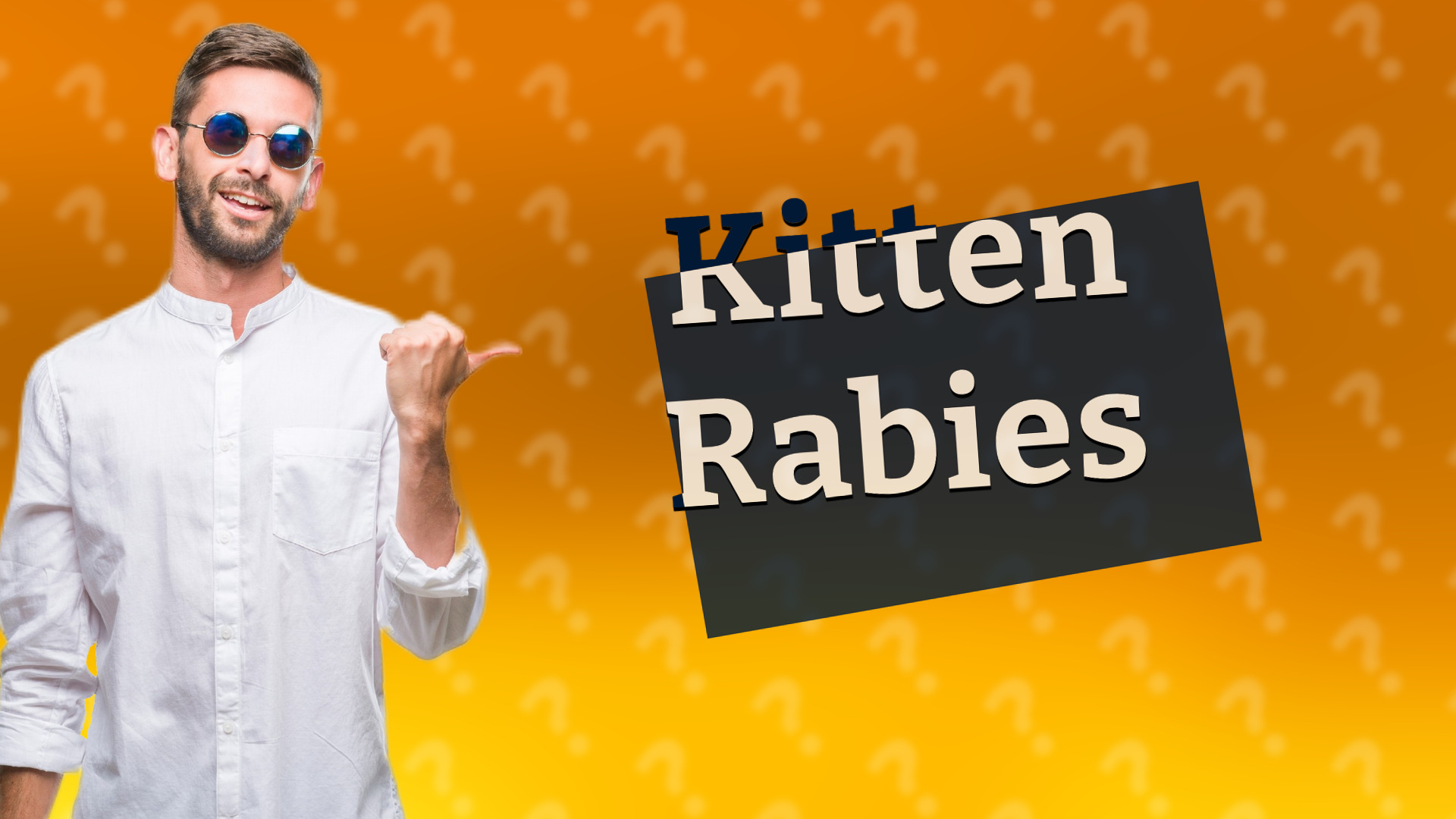Kitten Rabies