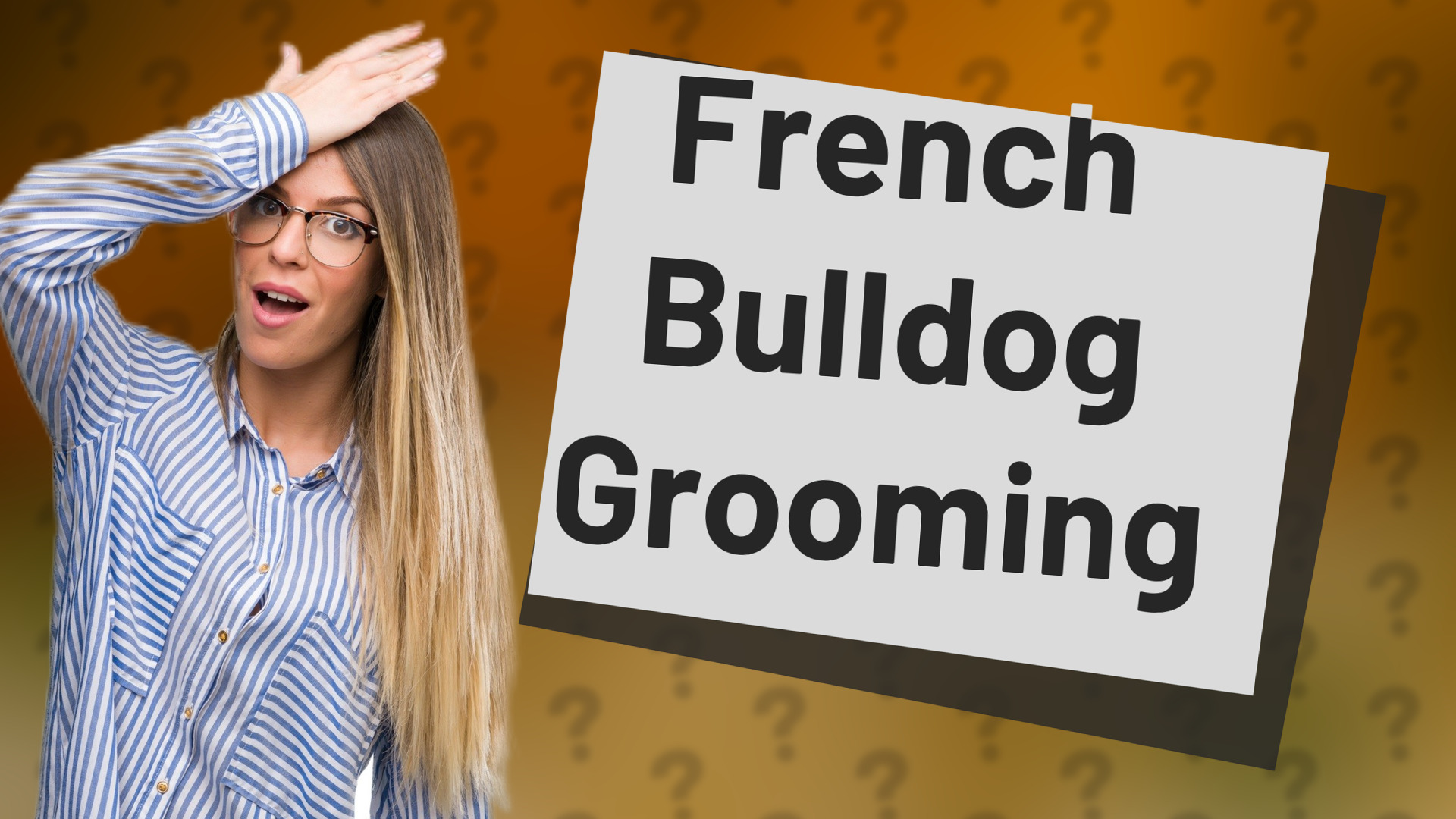 French Bulldog Grooming