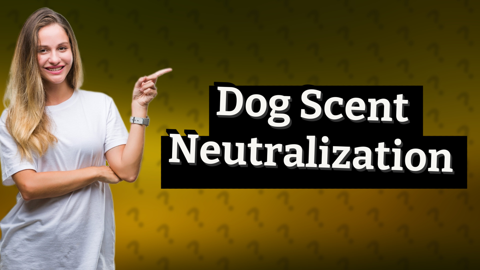 Dog Scent Neutralization