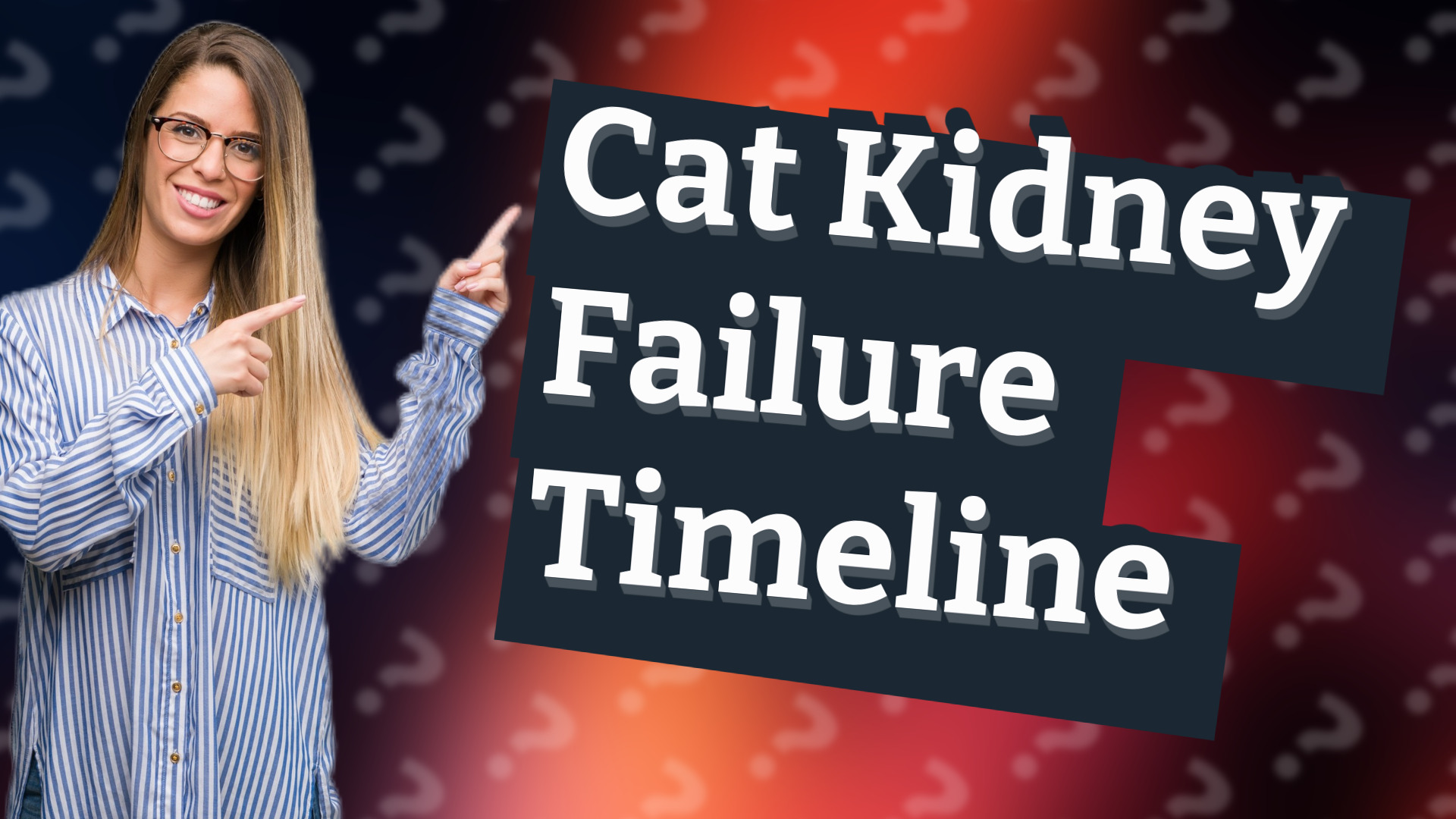 Cat Kidney Failure Timeline