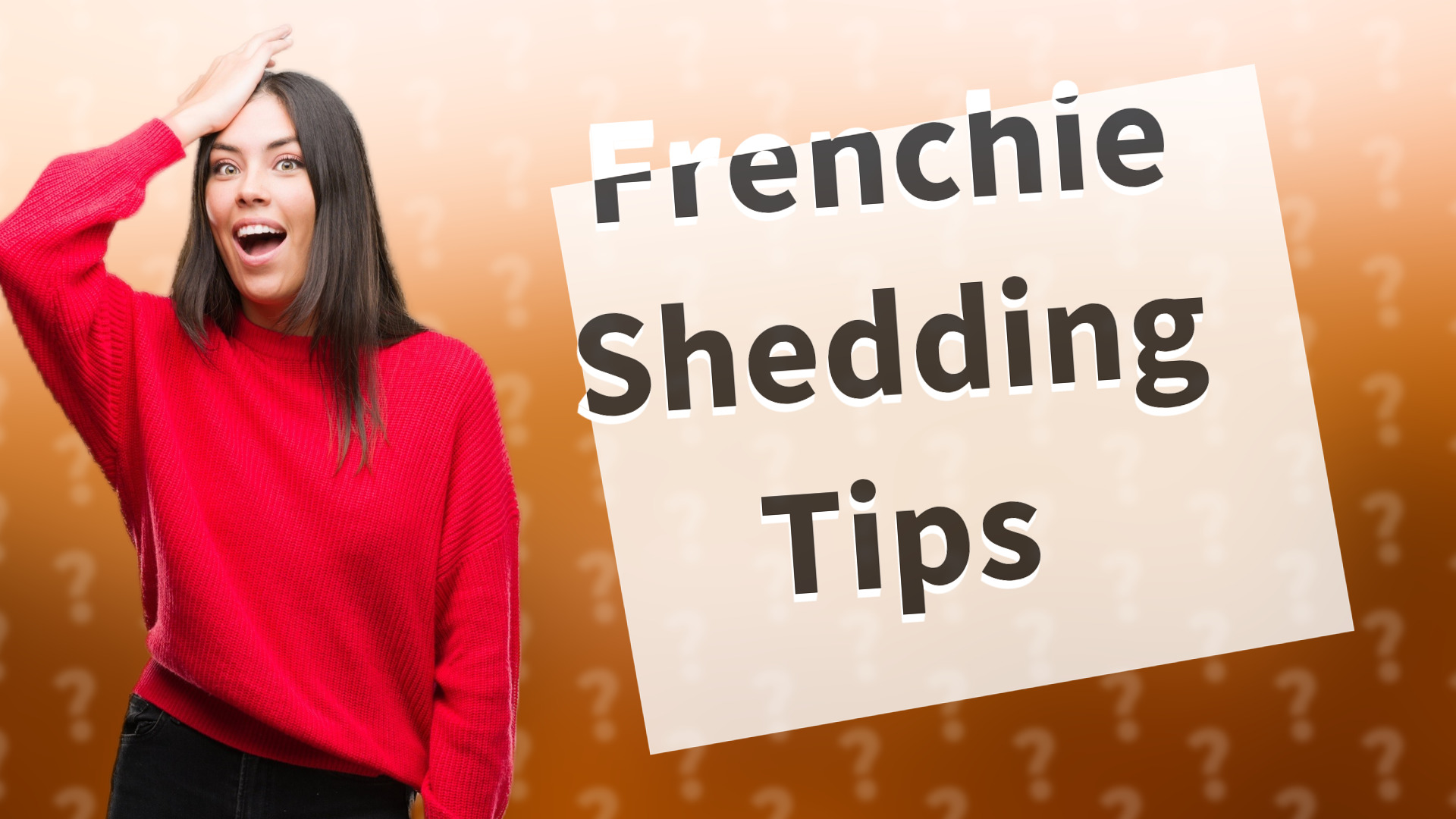 Frenchie Shedding Tips