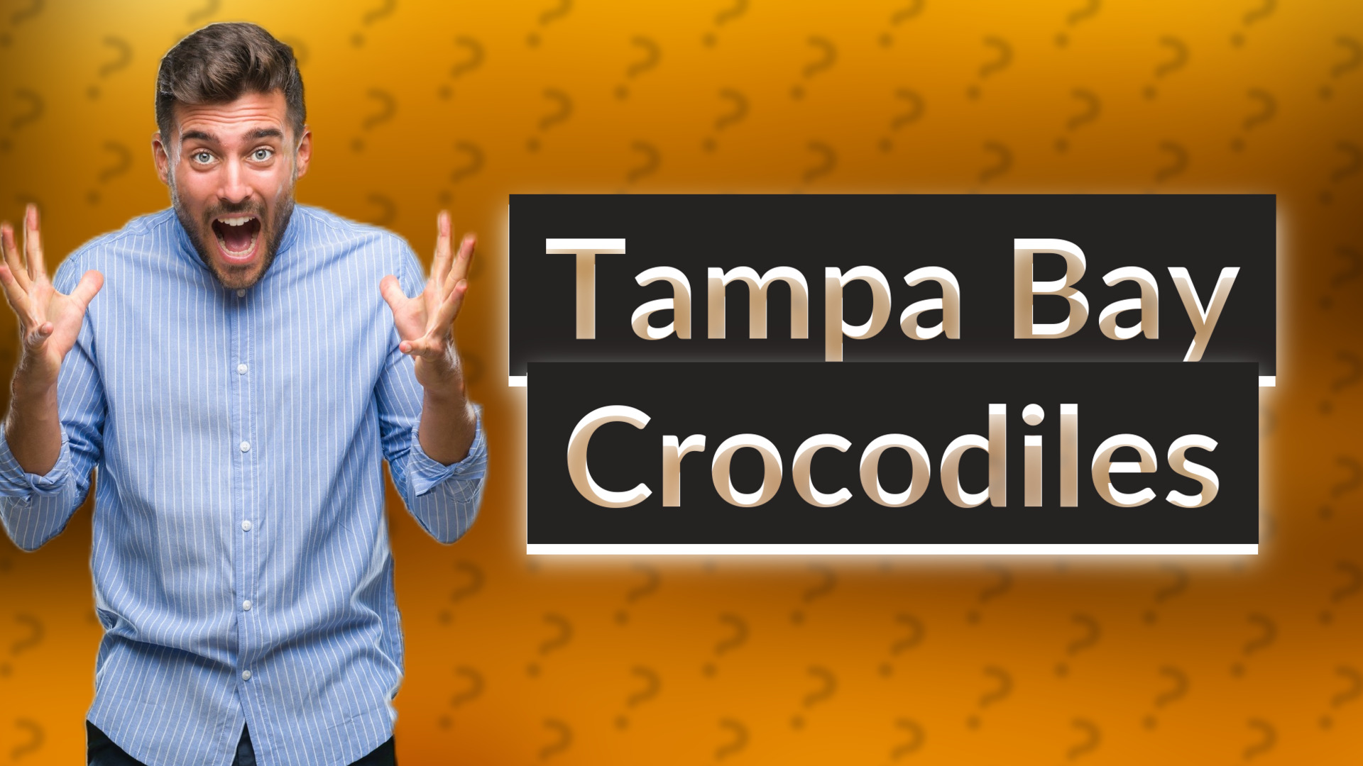 Tampa Bay Crocodiles