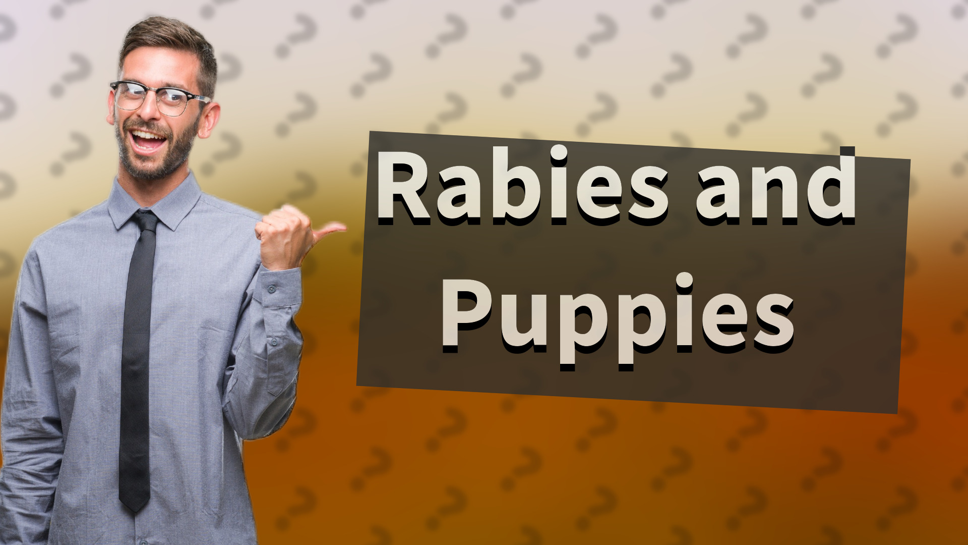 Rabies and Puppies