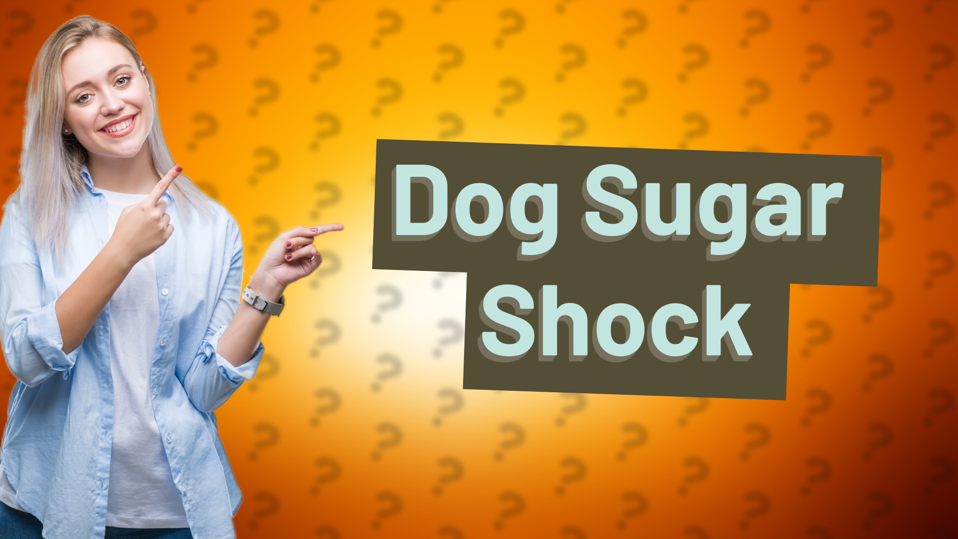 Dog Sugar Shock