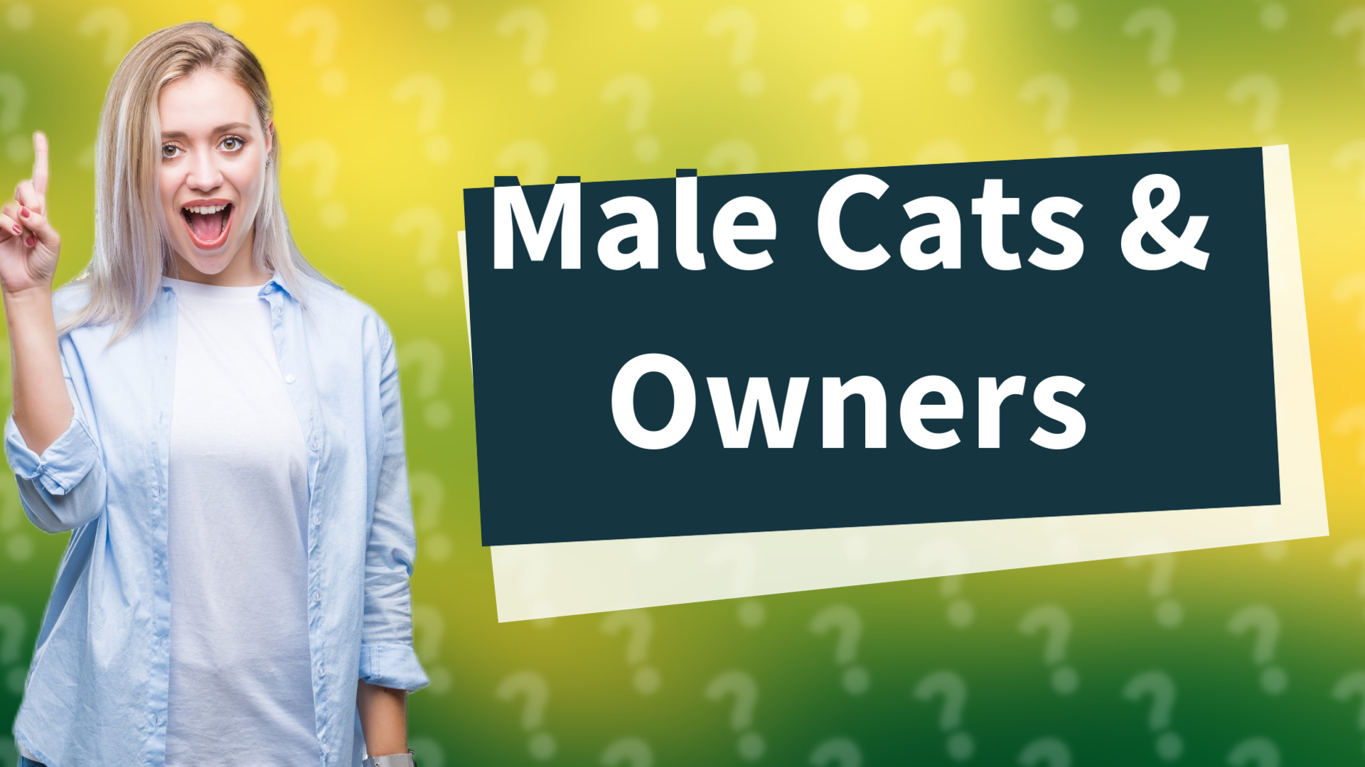 Male Cats & Owners