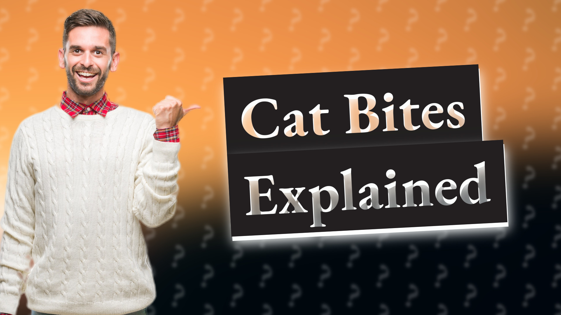 Cat Bites Explained
