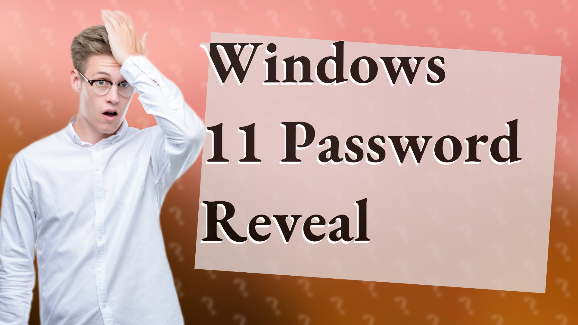 Windows 11 Password Reveal