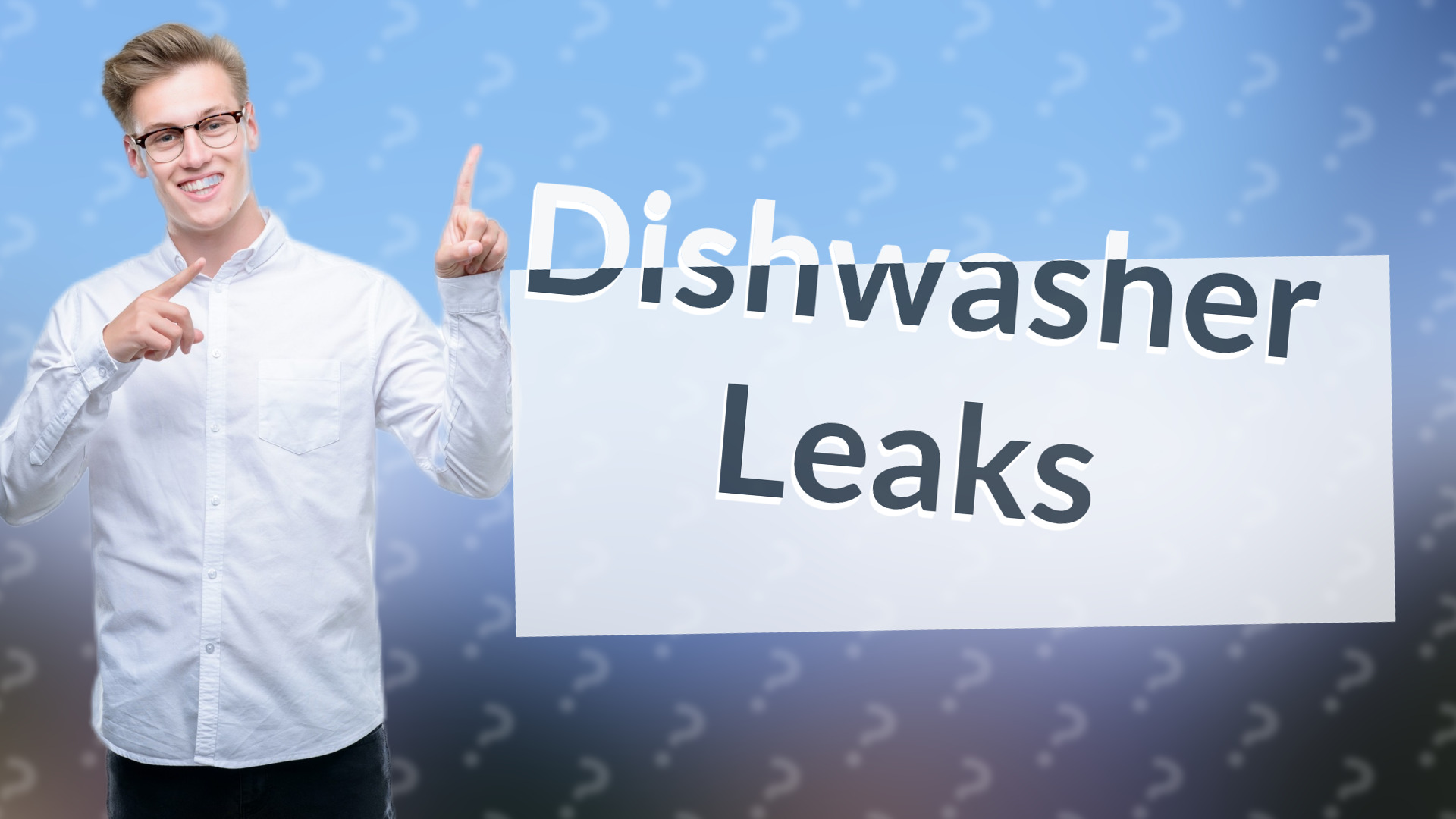 Dishwasher Leaks