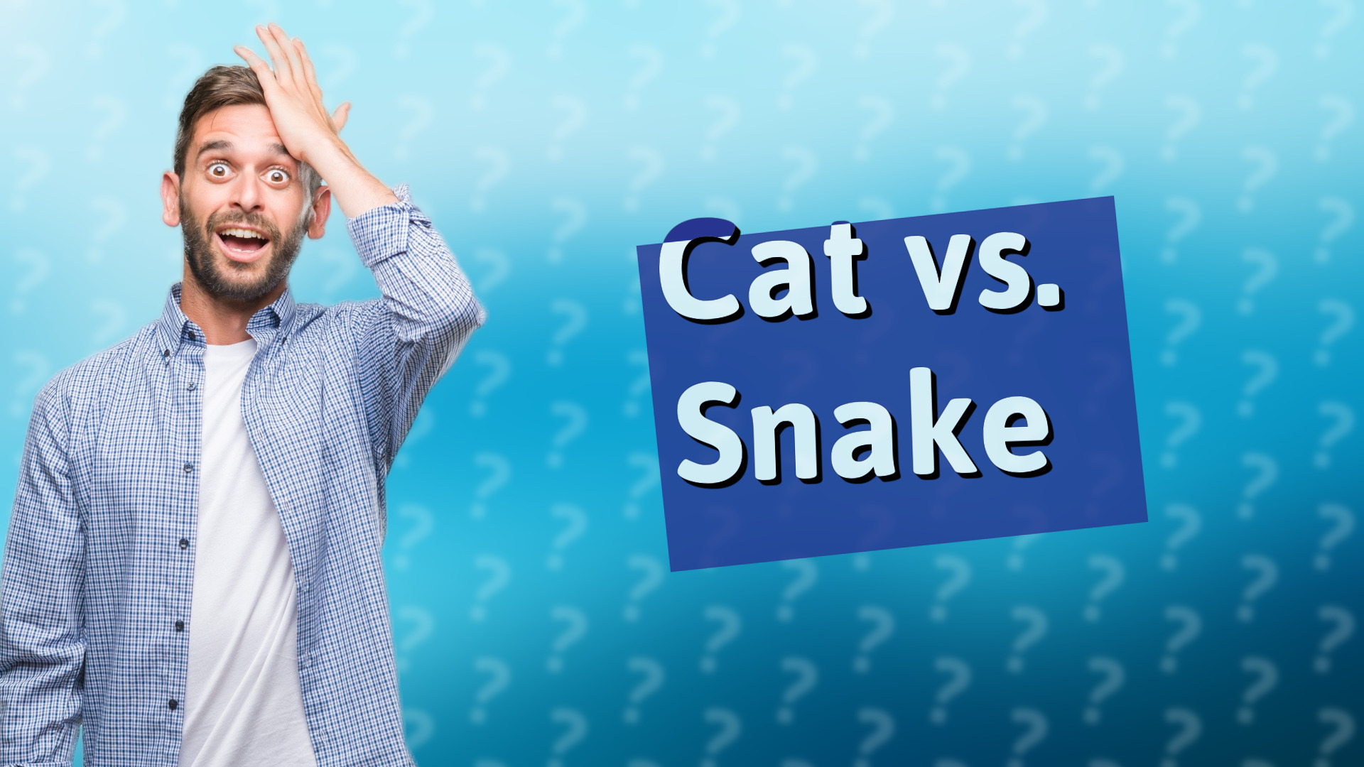 Cat vs. Snake