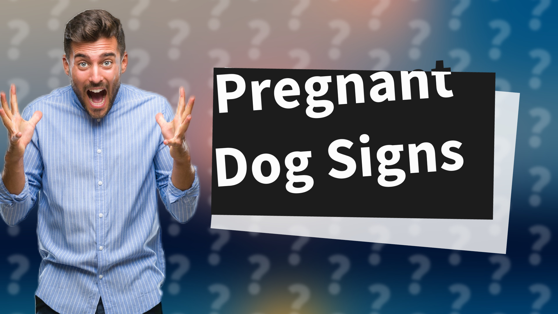 Pregnant Dog Signs