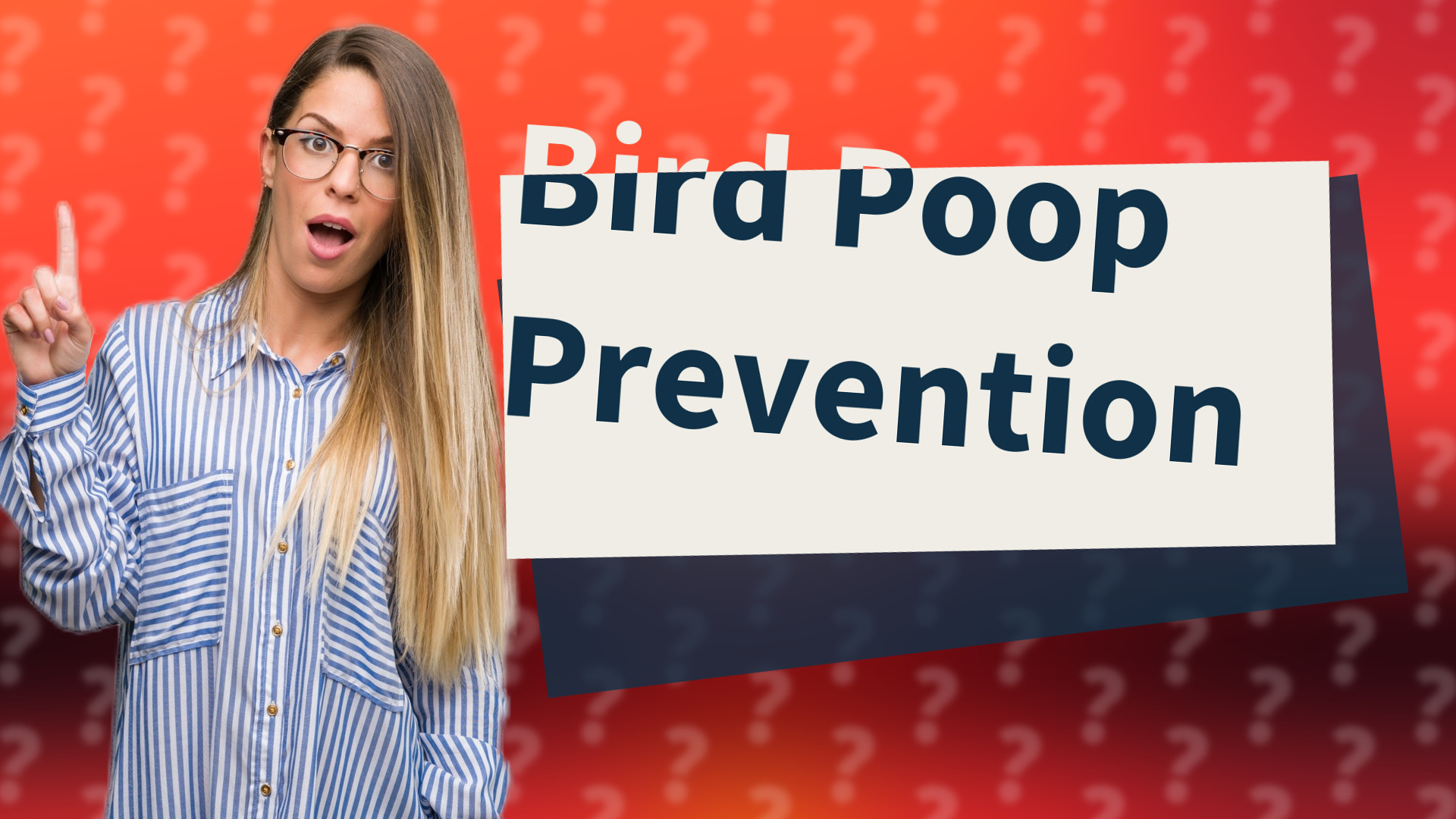 Bird Poop Prevention