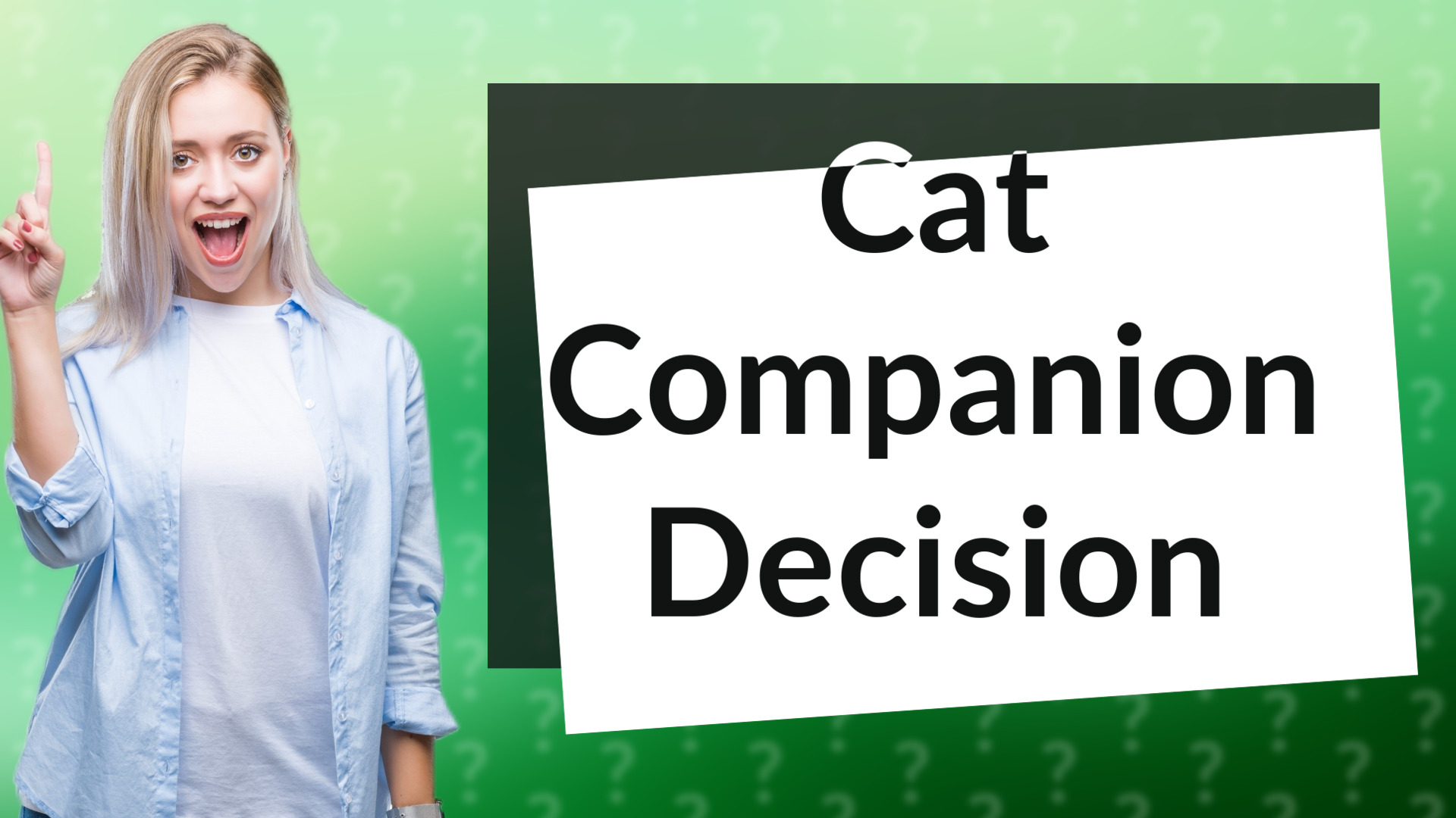 Cat Companion Decision