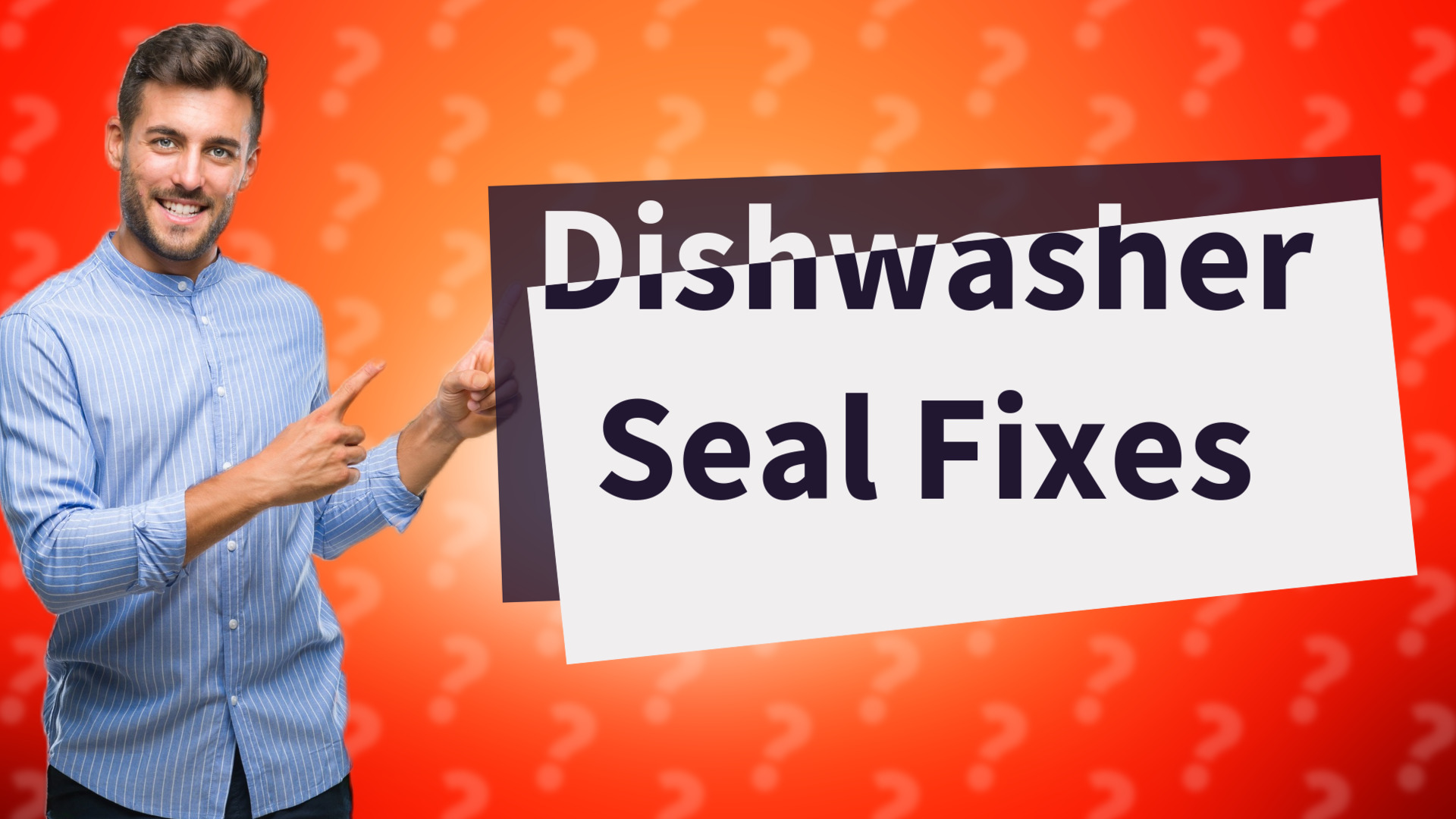 Dishwasher Seal Fixes