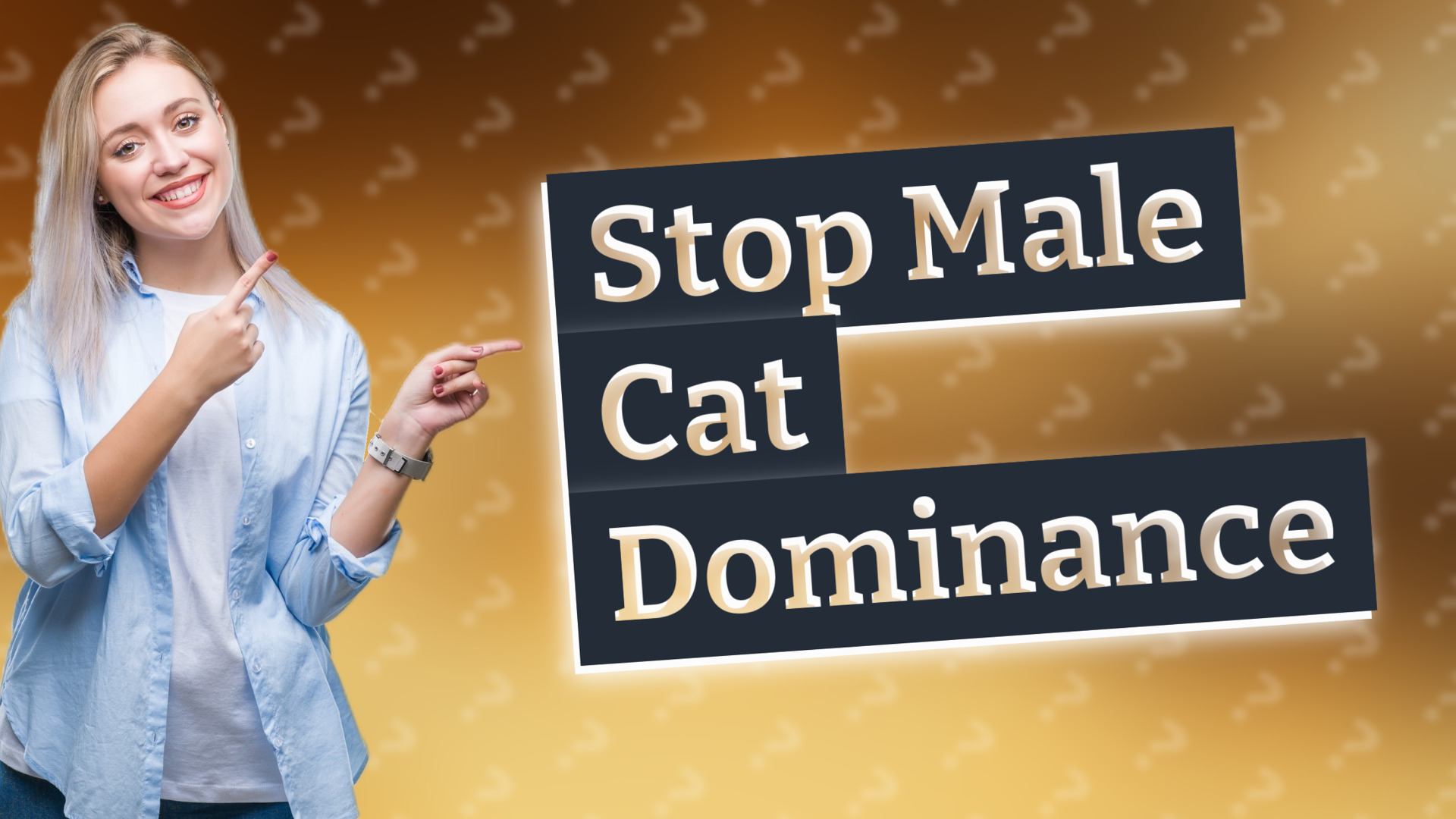 Stop Male Cat Dominance