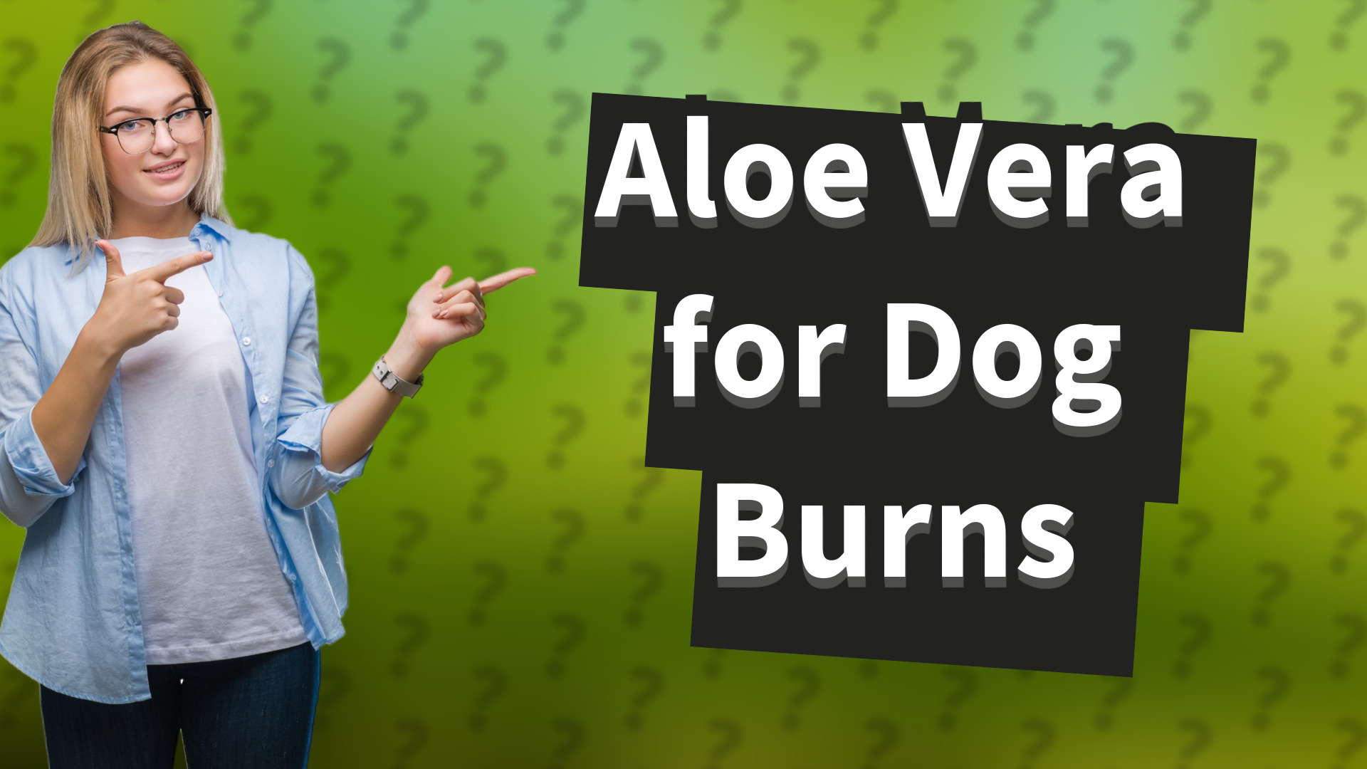 Aloe Vera for Dog Burns