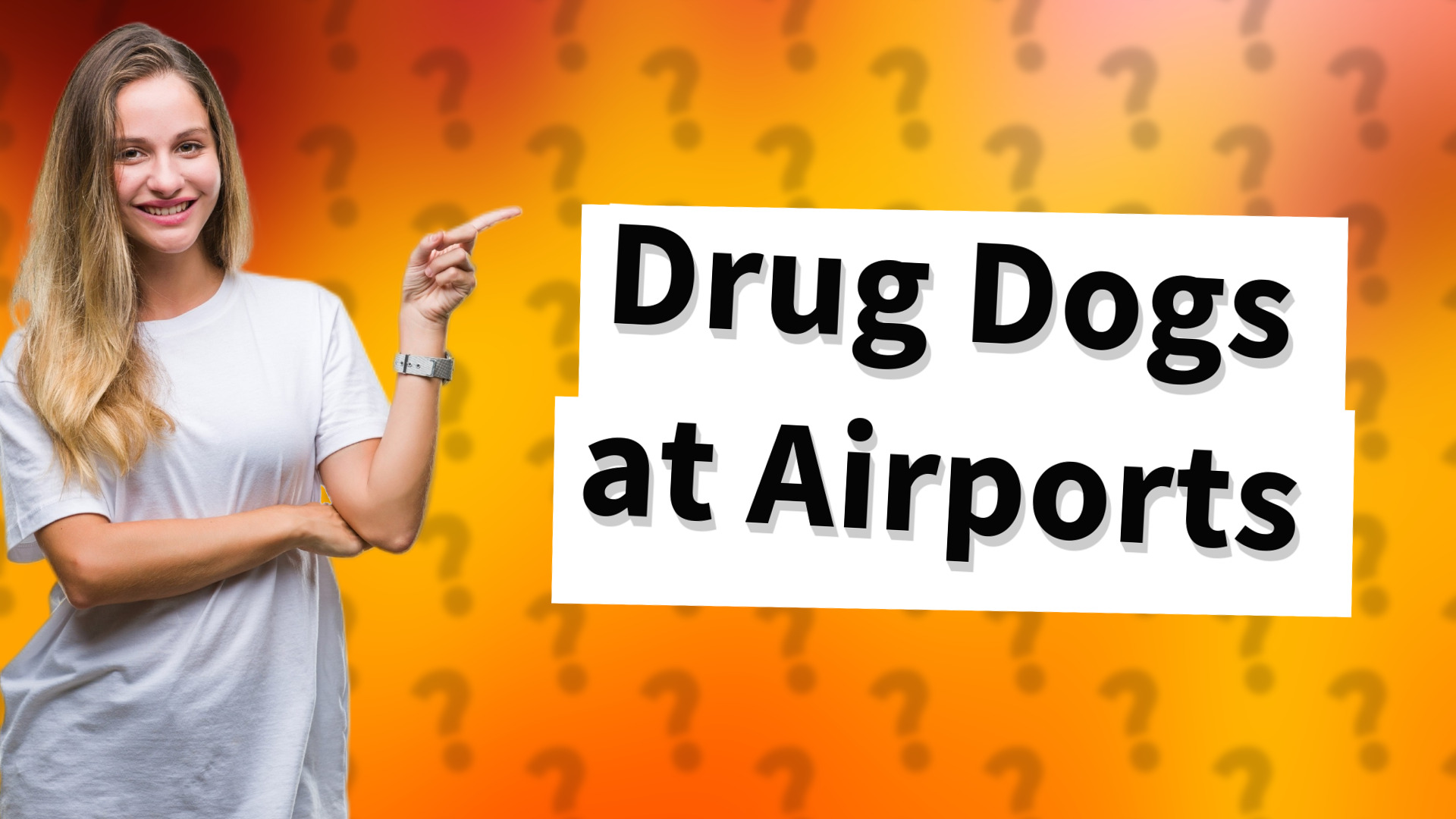 Drug Dogs at Airports